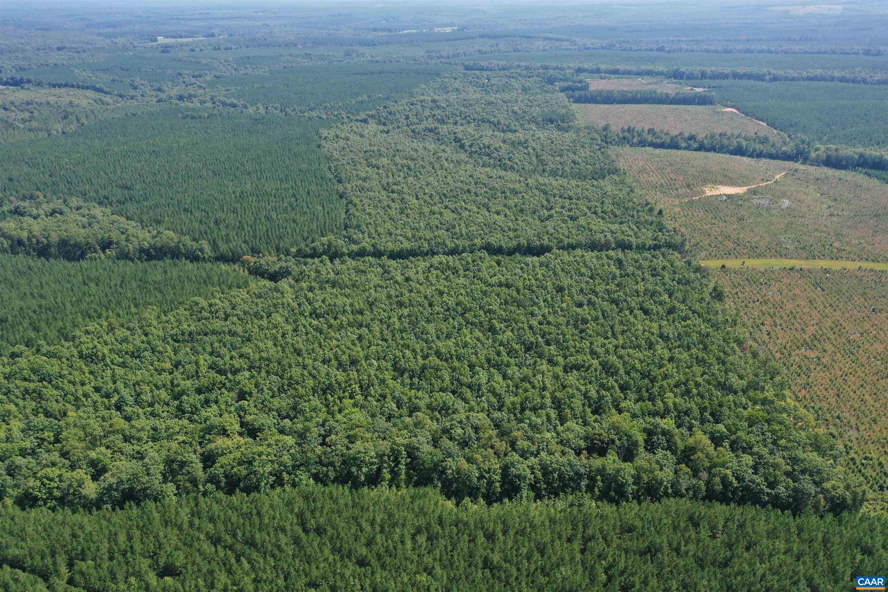 100 Ac W JAMES ANDERSON HWY, GLADSTONE, Virginia 24553, ,Farm,14,100 Ac W JAMES ANDERSON HWY,675255 MLS # 675255 100 Ac W JAMES ANDERSON HWY, GLADSTONE, Virginia 24553, ,Farm,14,100 Ac W JAMES ANDERSON HWY,675255 MLS # 675255