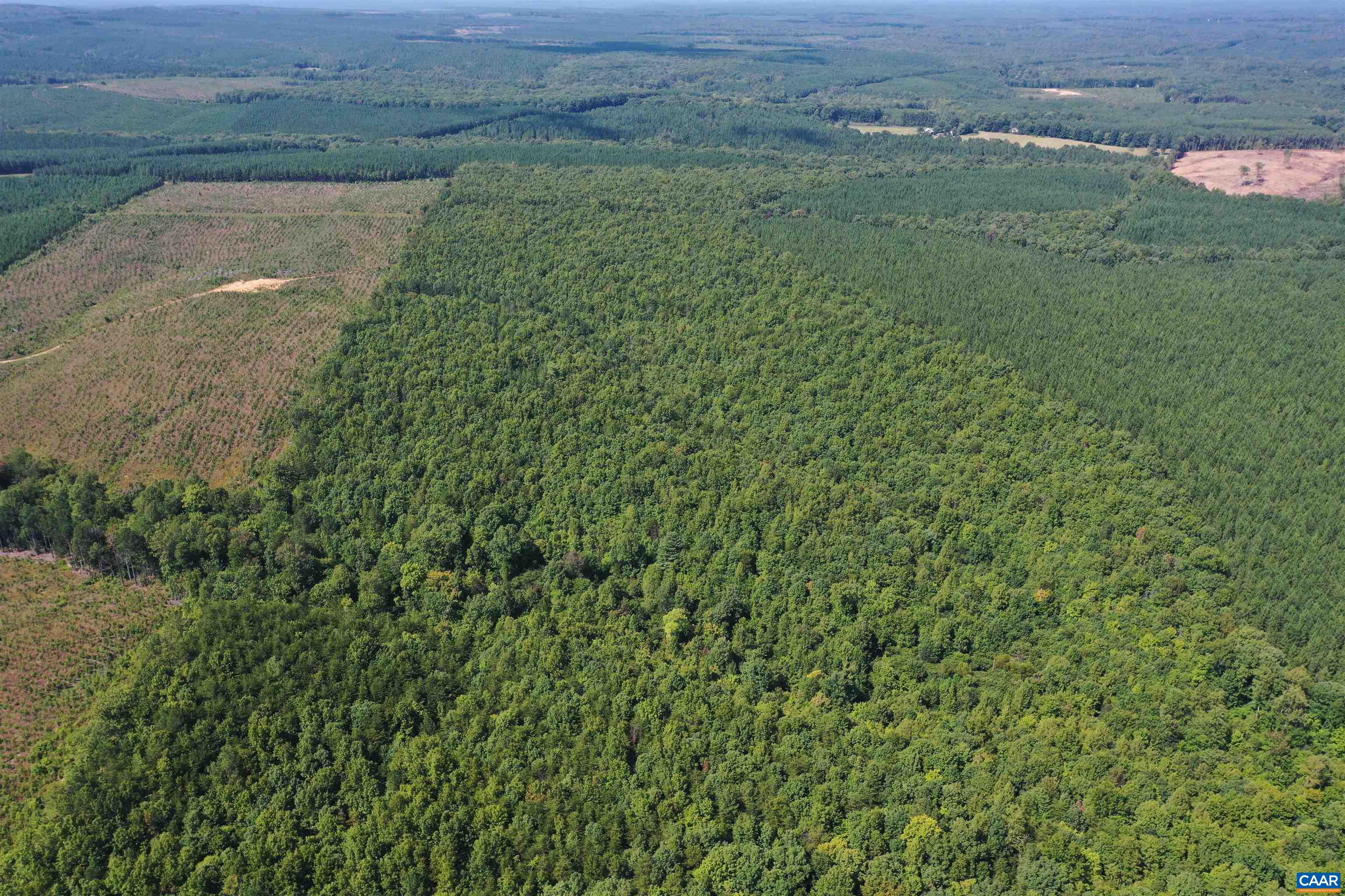 100 Ac W JAMES ANDERSON HWY, GLADSTONE, Virginia 24553, ,Farm,14,100 Ac W JAMES ANDERSON HWY,675255 MLS # 675255 100 Ac W JAMES ANDERSON HWY, GLADSTONE, Virginia 24553, ,Farm,14,100 Ac W JAMES ANDERSON HWY,675255 MLS # 675255