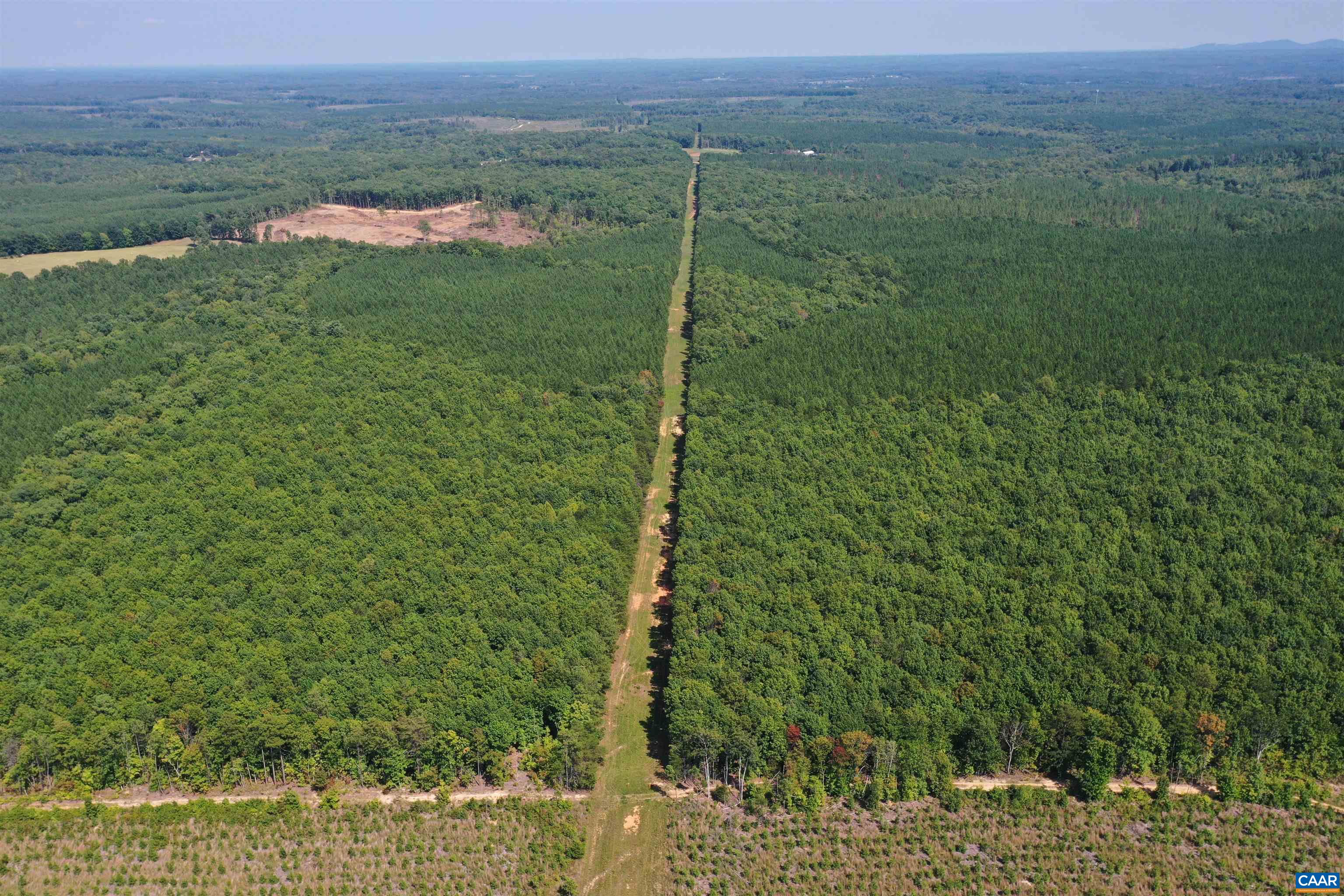 100 Ac W JAMES ANDERSON HWY, GLADSTONE, Virginia 24553, ,Farm,14,100 Ac W JAMES ANDERSON HWY,675255 MLS # 675255 100 Ac W JAMES ANDERSON HWY, GLADSTONE, Virginia 24553, ,Farm,14,100 Ac W JAMES ANDERSON HWY,675255 MLS # 675255