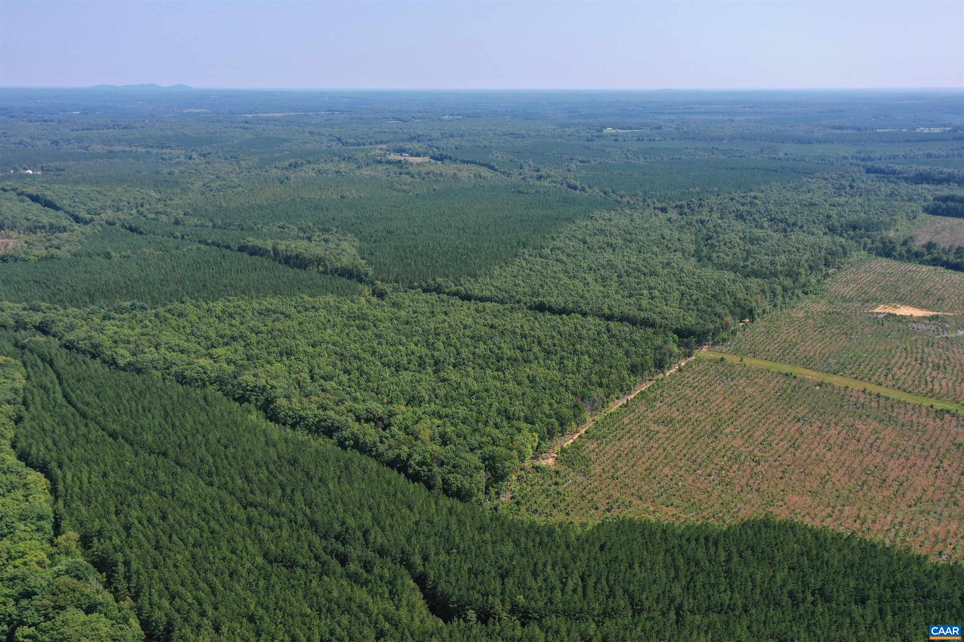 100 Ac W JAMES ANDERSON HWY, GLADSTONE, Virginia 24553, ,Farm,14,100 Ac W JAMES ANDERSON HWY,675255 MLS # 675255 100 Ac W JAMES ANDERSON HWY, GLADSTONE, Virginia 24553, ,Farm,14,100 Ac W JAMES ANDERSON HWY,675255 MLS # 675255