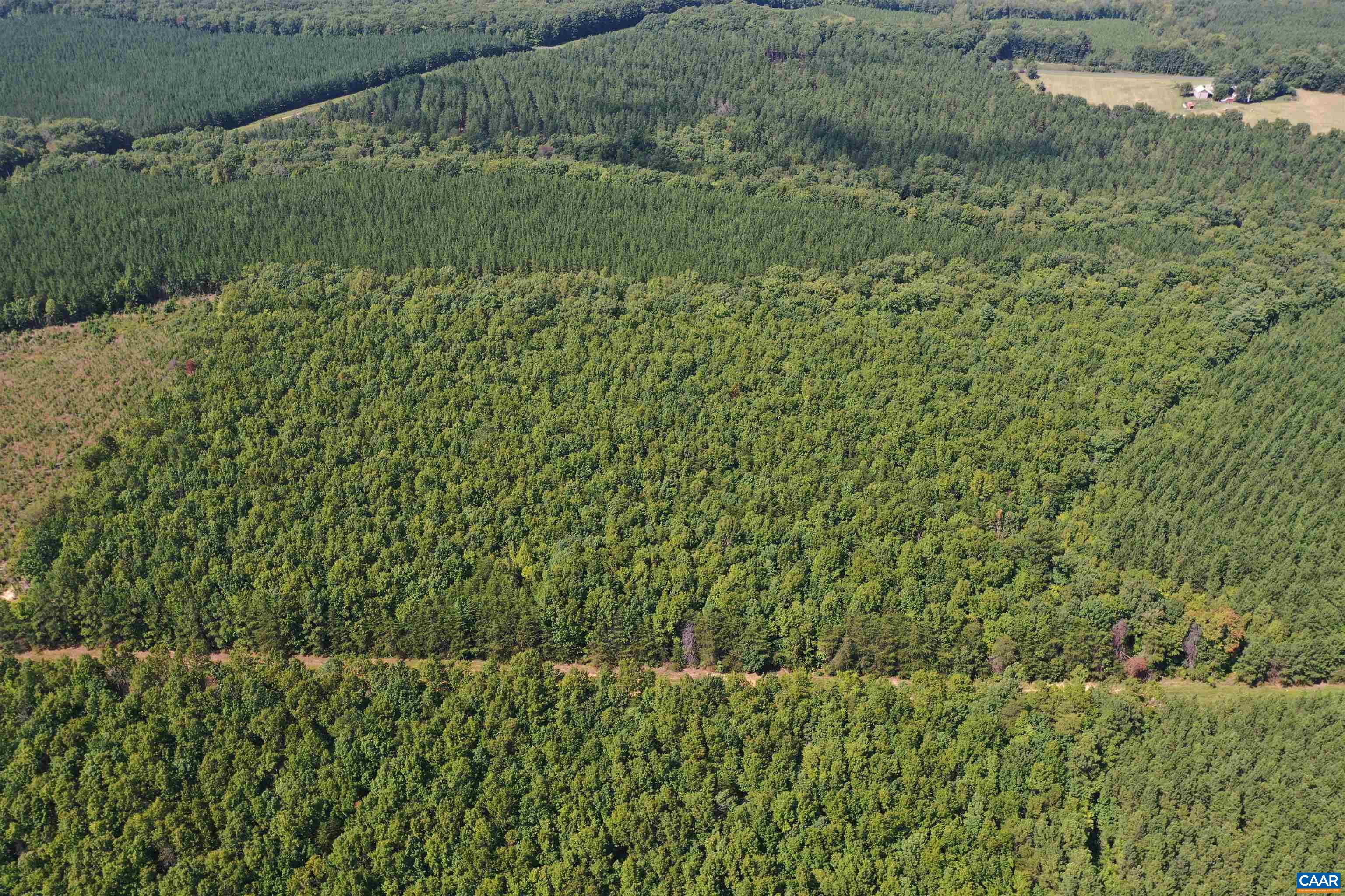 100 Ac W JAMES ANDERSON HWY, GLADSTONE, Virginia 24553, ,Farm,14,100 Ac W JAMES ANDERSON HWY,675255 MLS # 675255 100 Ac W JAMES ANDERSON HWY, GLADSTONE, Virginia 24553, ,Farm,14,100 Ac W JAMES ANDERSON HWY,675255 MLS # 675255