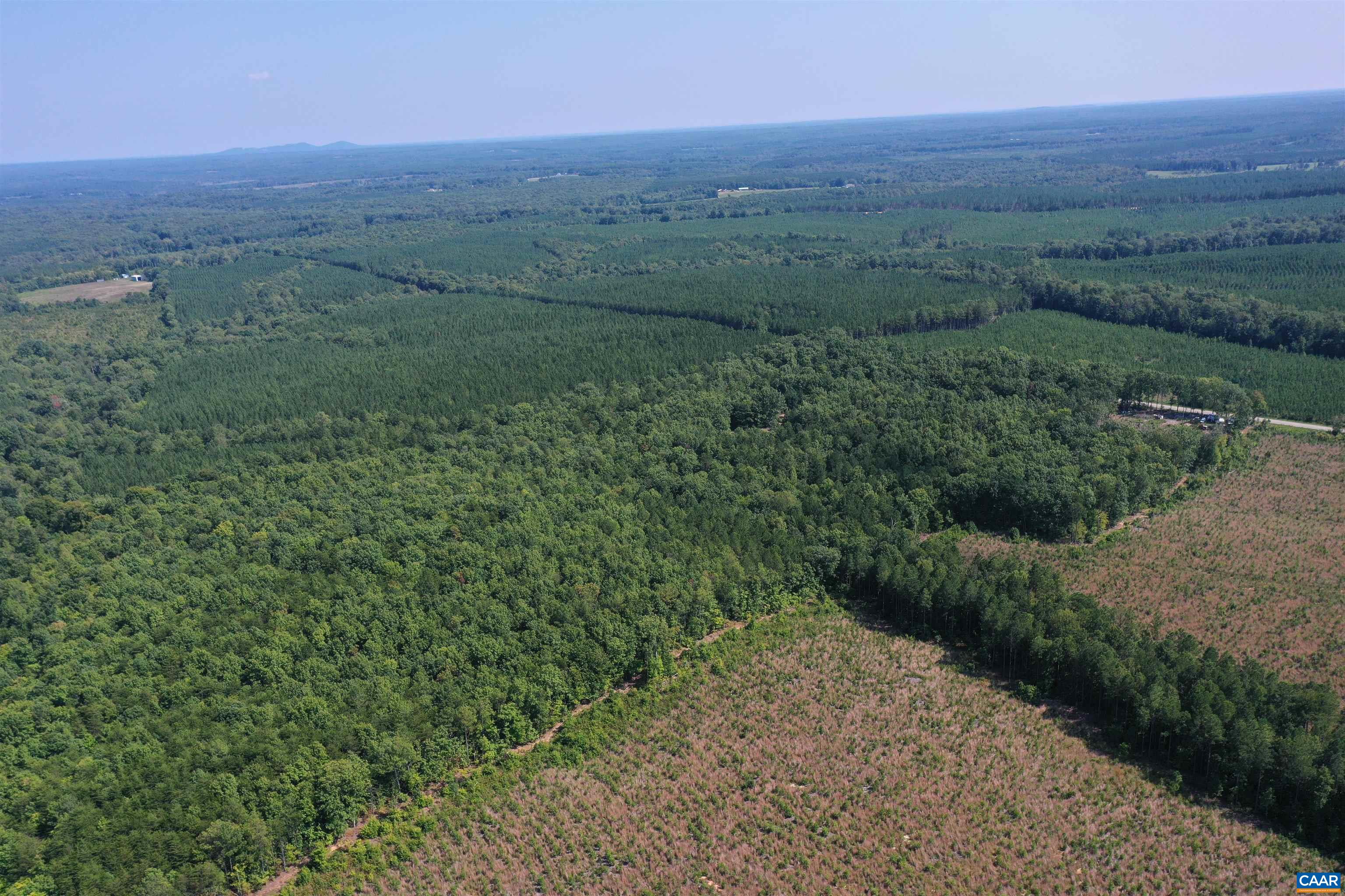 100 Ac W JAMES ANDERSON HWY, GLADSTONE, Virginia 24553, ,Farm,14,100 Ac W JAMES ANDERSON HWY,675255 MLS # 675255 100 Ac W JAMES ANDERSON HWY, GLADSTONE, Virginia 24553, ,Farm,14,100 Ac W JAMES ANDERSON HWY,675255 MLS # 675255