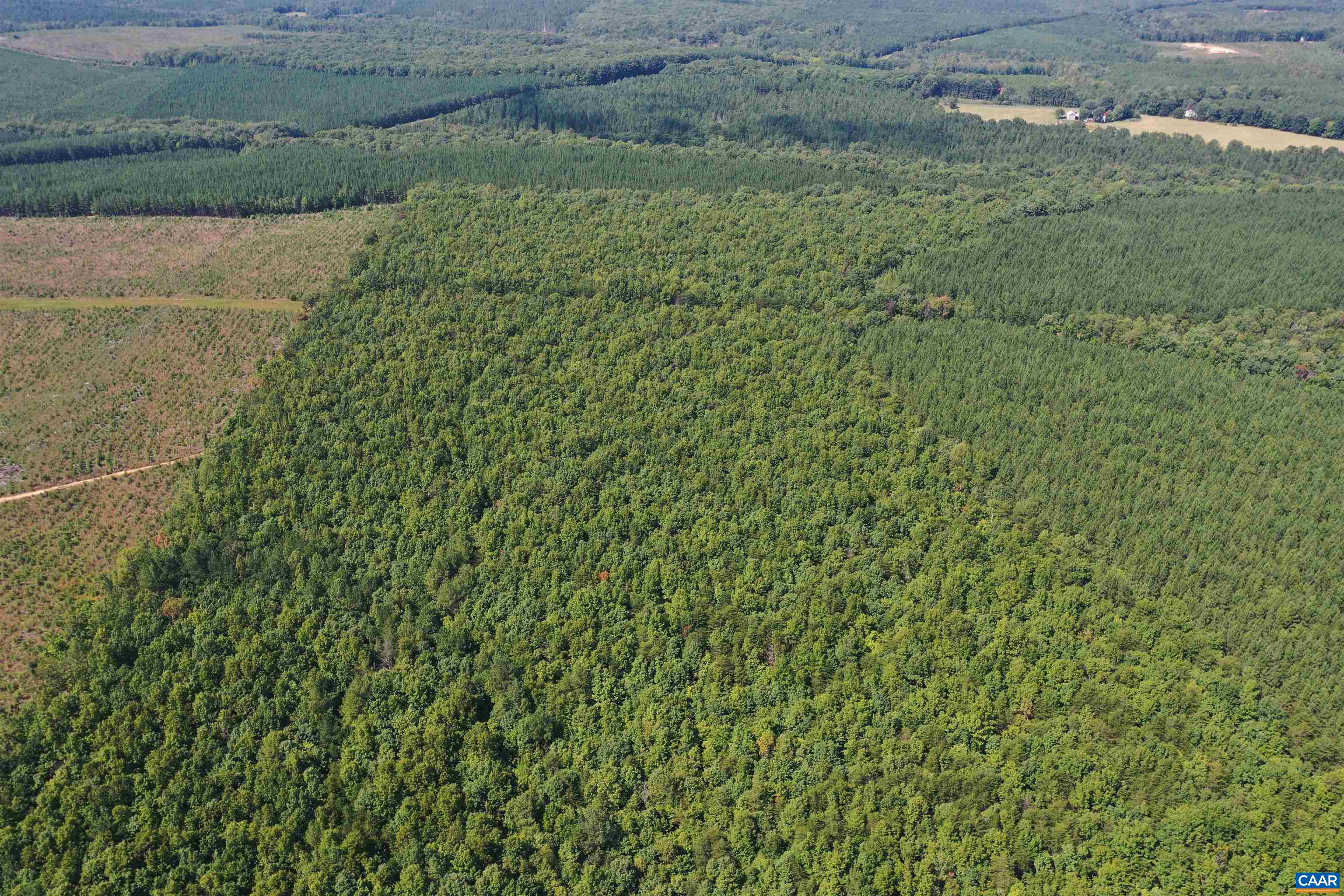 100 Ac W JAMES ANDERSON HWY, GLADSTONE, Virginia 24553, ,Farm,14,100 Ac W JAMES ANDERSON HWY,675255 MLS # 675255 100 Ac W JAMES ANDERSON HWY, GLADSTONE, Virginia 24553, ,Farm,14,100 Ac W JAMES ANDERSON HWY,675255 MLS # 675255