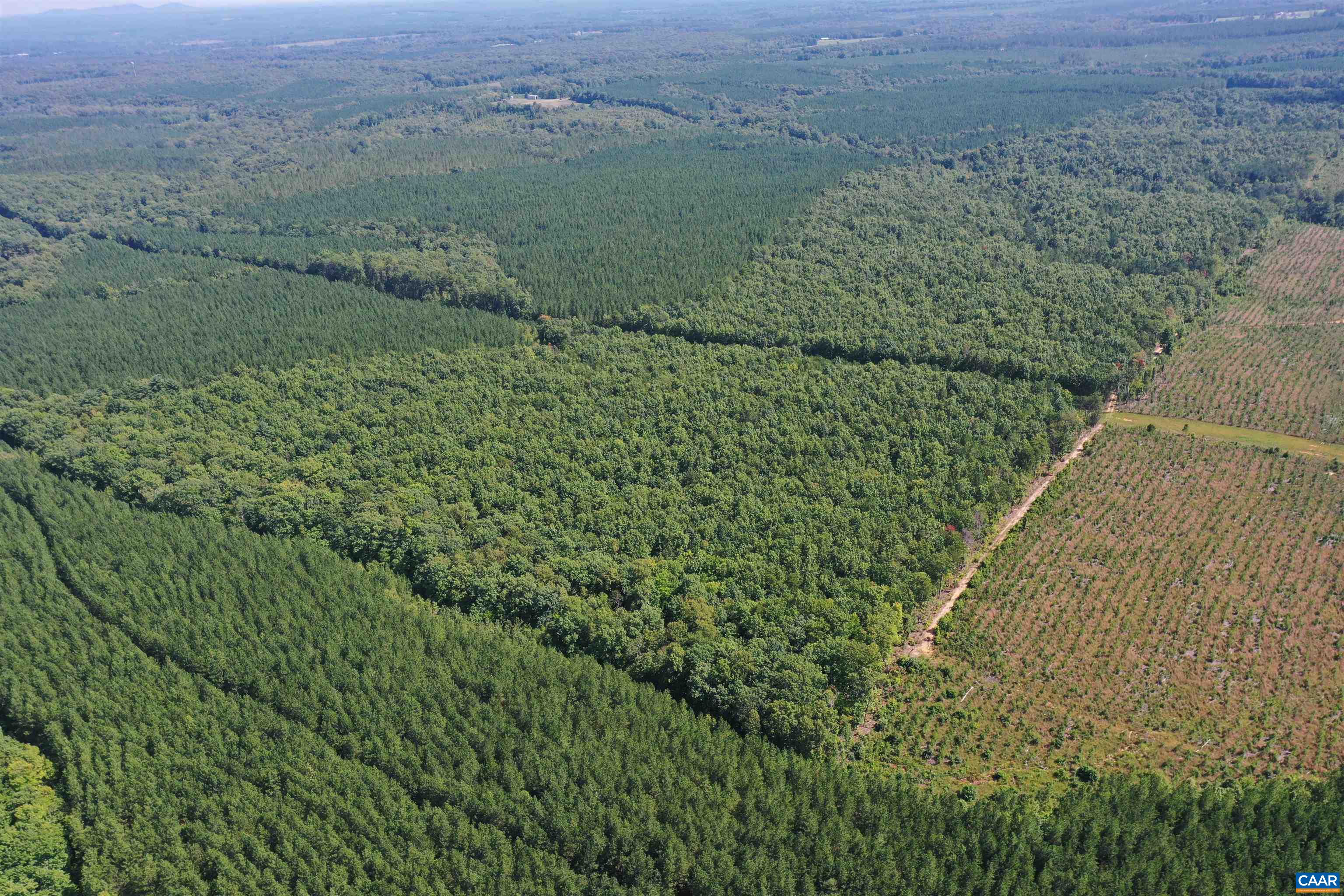 100 Ac W JAMES ANDERSON HWY, GLADSTONE, Virginia 24553, ,Farm,14,100 Ac W JAMES ANDERSON HWY,675255 MLS # 675255 100 Ac W JAMES ANDERSON HWY, GLADSTONE, Virginia 24553, ,Farm,14,100 Ac W JAMES ANDERSON HWY,675255 MLS # 675255