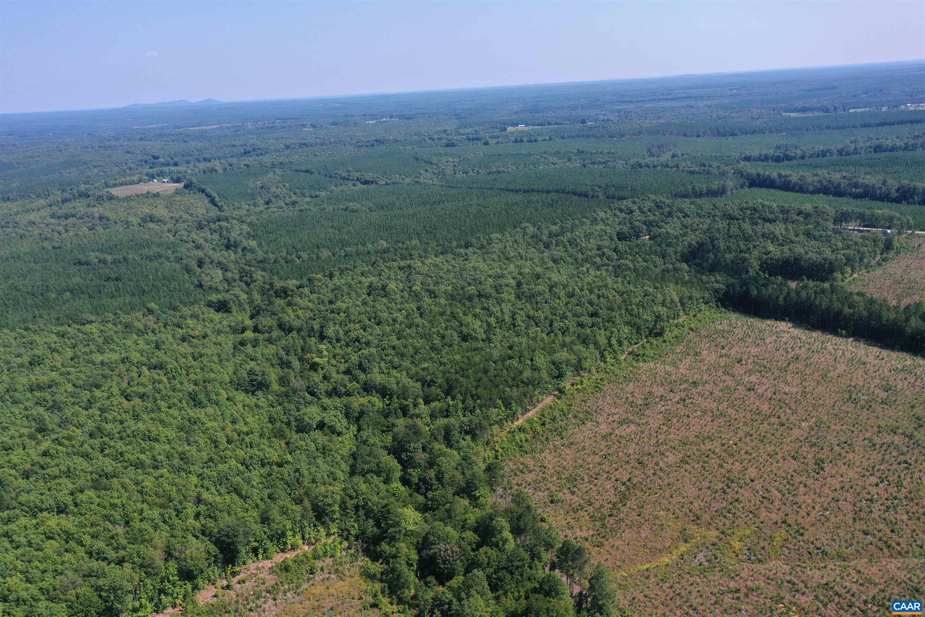 100 Ac W JAMES ANDERSON HWY, GLADSTONE, Virginia 24553, ,Farm,14,100 Ac W JAMES ANDERSON HWY,675255 MLS # 675255 100 Ac W JAMES ANDERSON HWY, GLADSTONE, Virginia 24553, ,Farm,14,100 Ac W JAMES ANDERSON HWY,675255 MLS # 675255