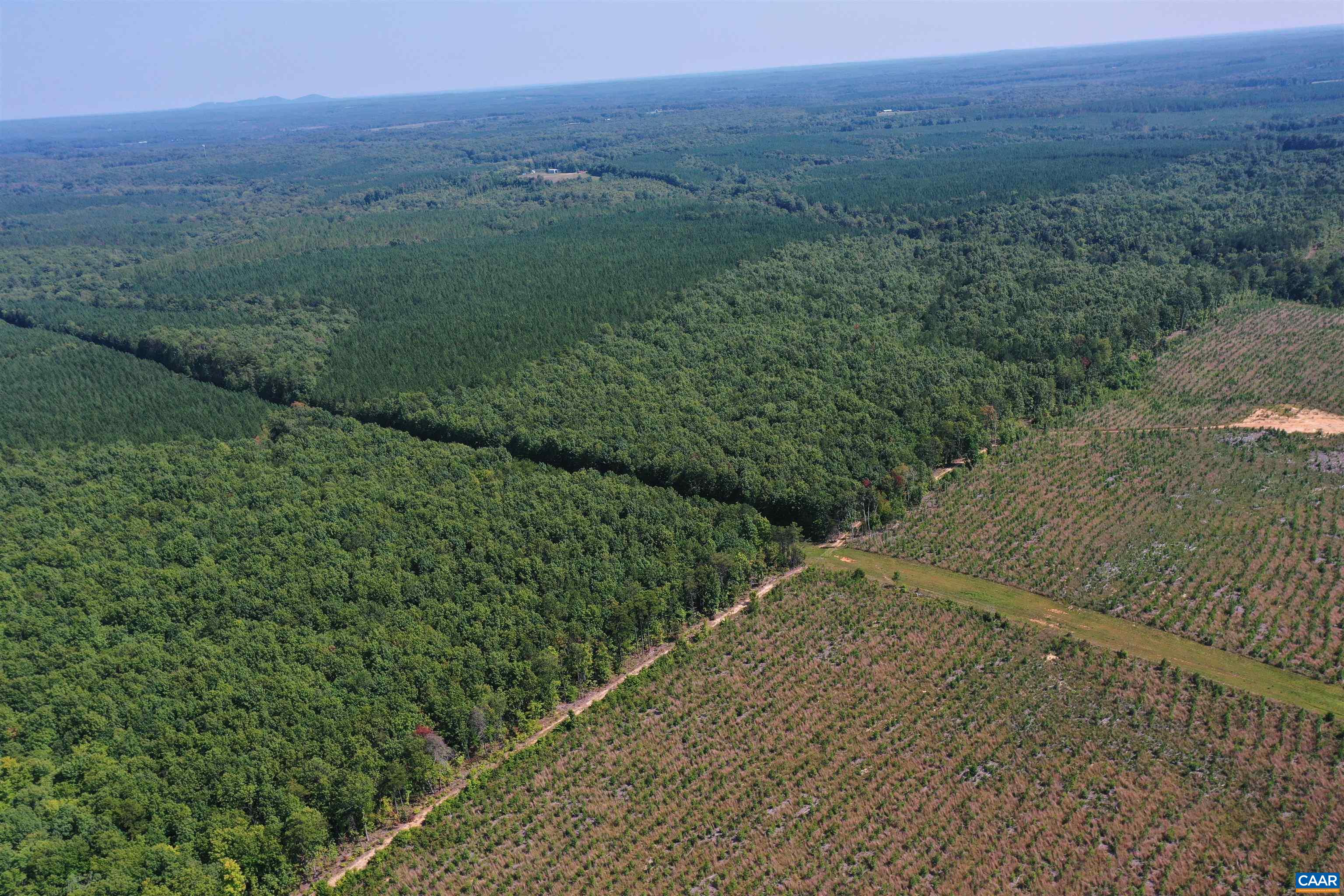 100 Ac W JAMES ANDERSON HWY, GLADSTONE, Virginia 24553, ,Farm,14,100 Ac W JAMES ANDERSON HWY,675255 MLS # 675255 100 Ac W JAMES ANDERSON HWY, GLADSTONE, Virginia 24553, ,Farm,14,100 Ac W JAMES ANDERSON HWY,675255 MLS # 675255