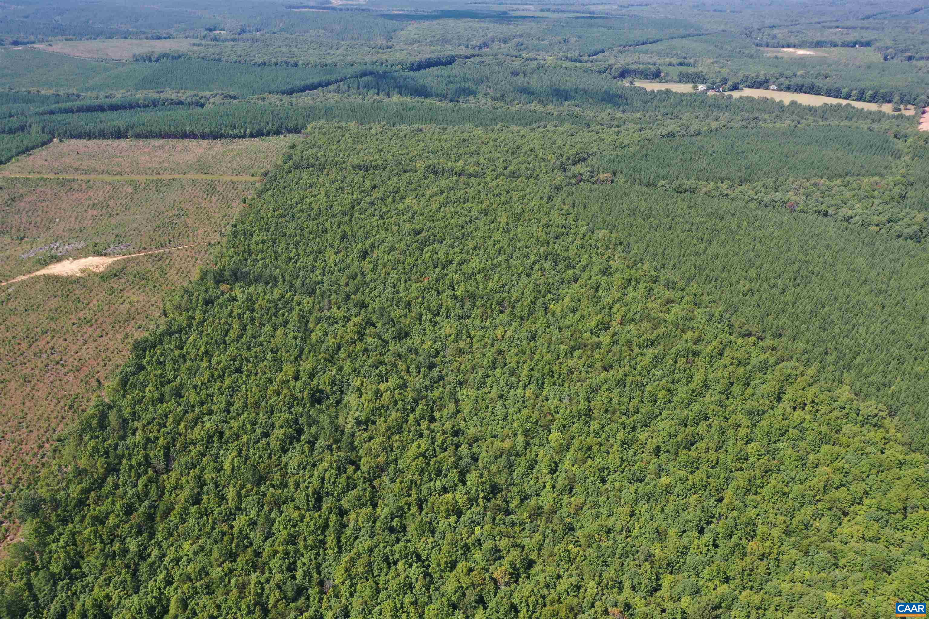 100 Ac W JAMES ANDERSON HWY, GLADSTONE, Virginia 24553, ,Farm,14,100 Ac W JAMES ANDERSON HWY,675255 MLS # 675255 100 Ac W JAMES ANDERSON HWY, GLADSTONE, Virginia 24553, ,Farm,14,100 Ac W JAMES ANDERSON HWY,675255 MLS # 675255