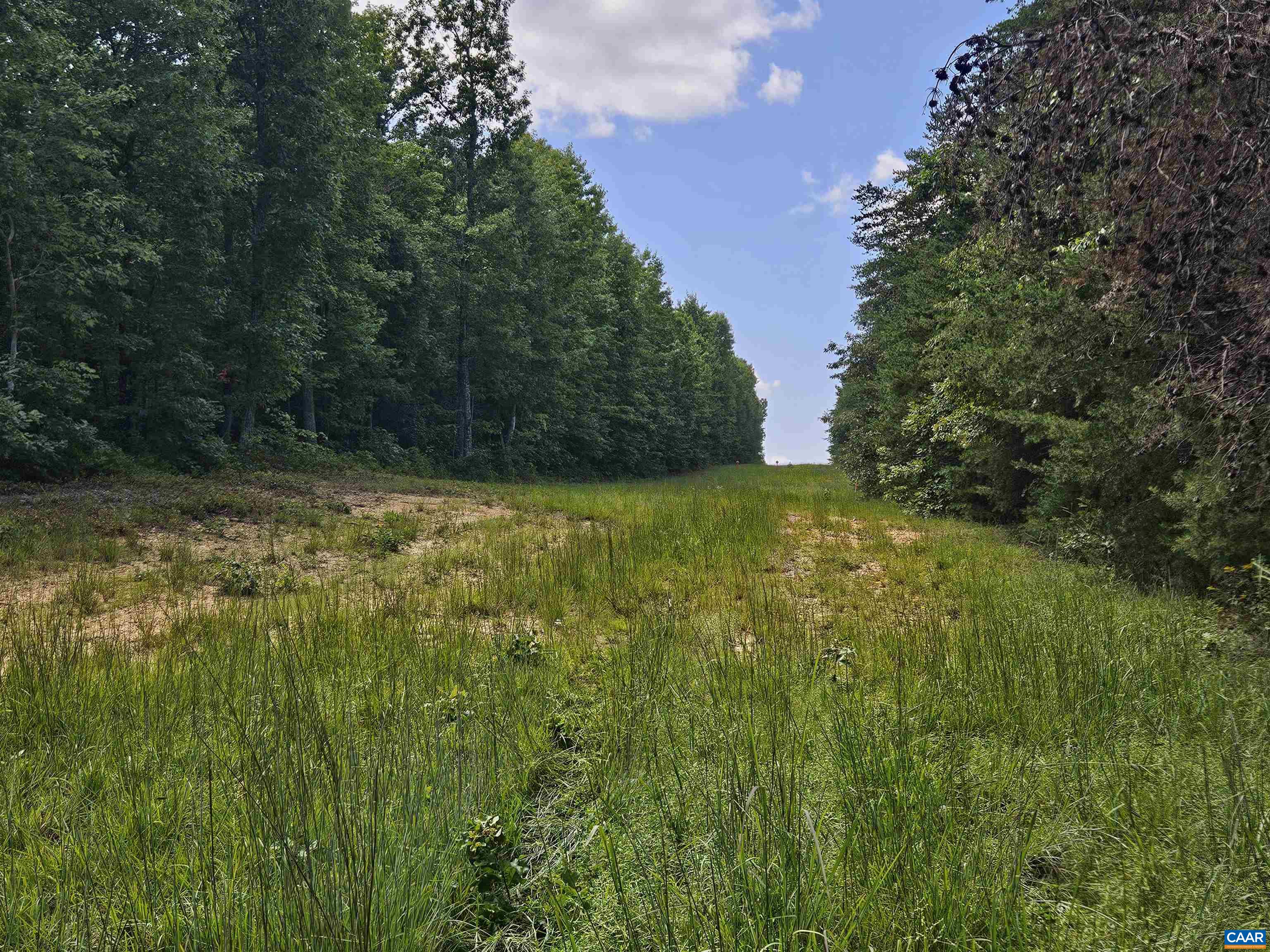 100 Ac W JAMES ANDERSON HWY, GLADSTONE, Virginia 24553, ,Farm,14,100 Ac W JAMES ANDERSON HWY,675255 MLS # 675255 100 Ac W JAMES ANDERSON HWY, GLADSTONE, Virginia 24553, ,Farm,14,100 Ac W JAMES ANDERSON HWY,675255 MLS # 675255