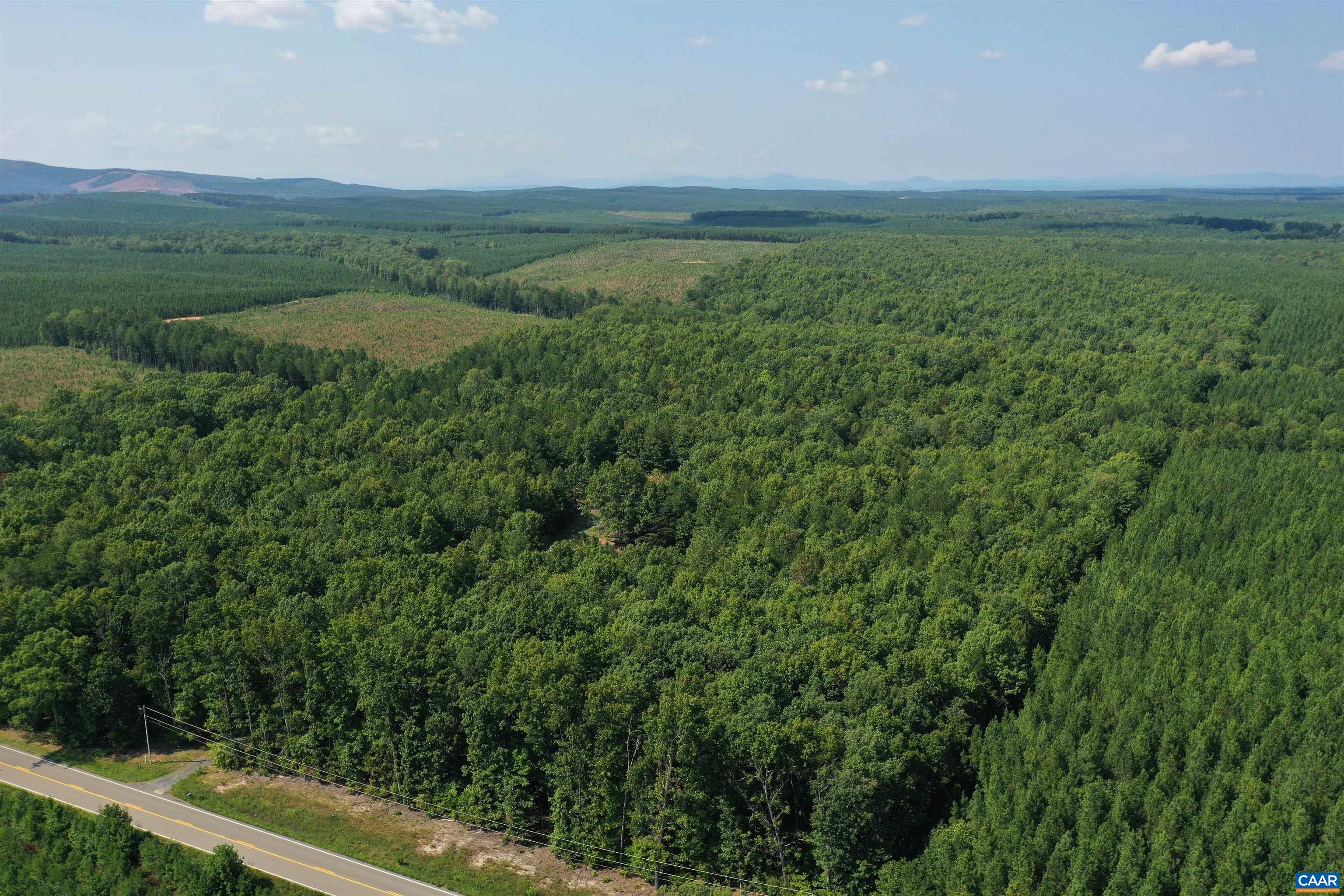 100 Ac W JAMES ANDERSON HWY, GLADSTONE, Virginia 24553, ,Farm,14,100 Ac W JAMES ANDERSON HWY,675255 MLS # 675255 100 Ac W JAMES ANDERSON HWY, GLADSTONE, Virginia 24553, ,Farm,14,100 Ac W JAMES ANDERSON HWY,675255 MLS # 675255