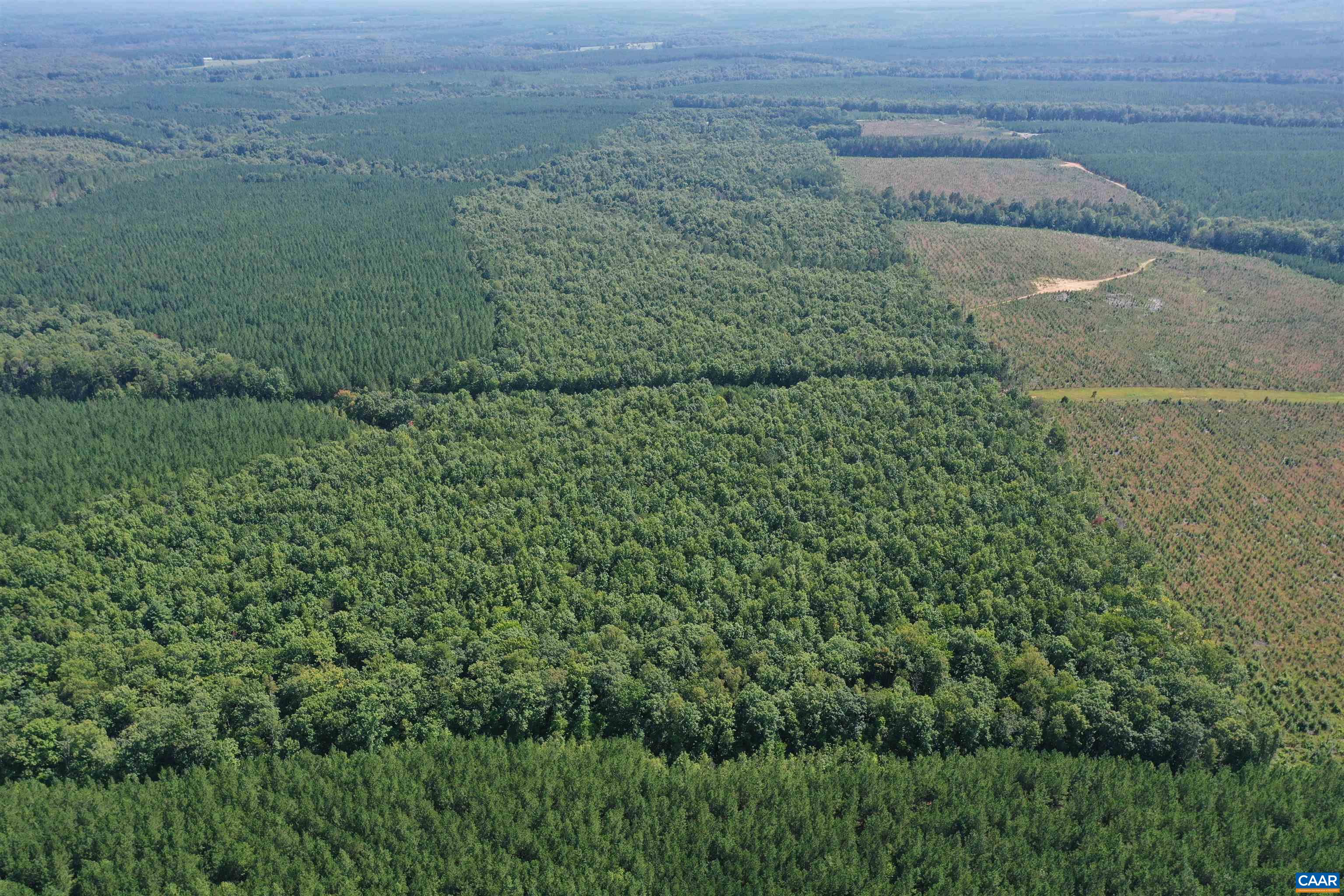 100 Ac W JAMES ANDERSON HWY, GLADSTONE, Virginia 24553, ,Farm,14,100 Ac W JAMES ANDERSON HWY,675255 MLS # 675255 100 Ac W JAMES ANDERSON HWY, GLADSTONE, Virginia 24553, ,Farm,14,100 Ac W JAMES ANDERSON HWY,675255 MLS # 675255