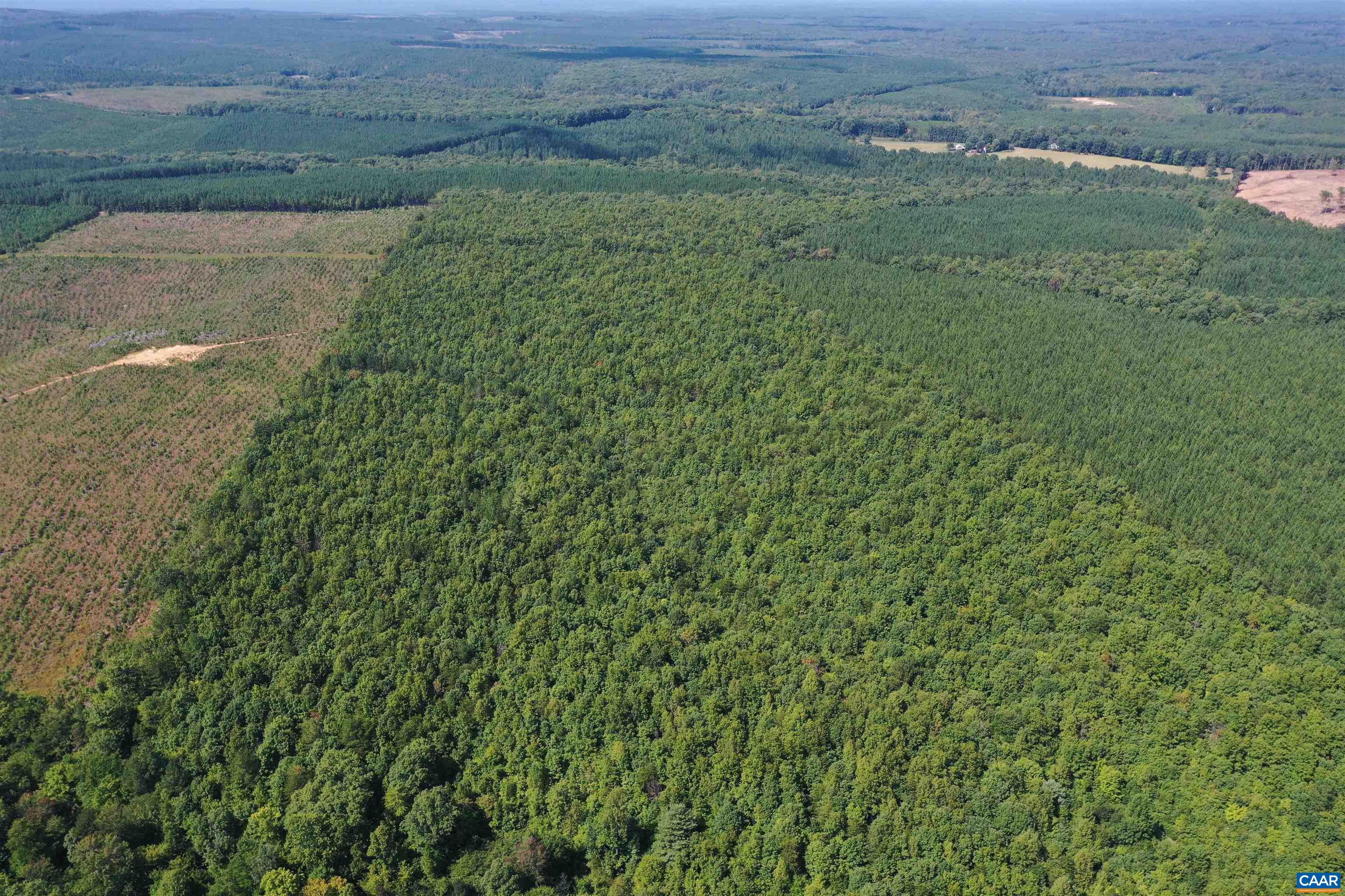 100 Ac W JAMES ANDERSON HWY, GLADSTONE, Virginia 24553, ,Farm,14,100 Ac W JAMES ANDERSON HWY,675255 MLS # 675255 100 Ac W JAMES ANDERSON HWY, GLADSTONE, Virginia 24553, ,Farm,14,100 Ac W JAMES ANDERSON HWY,675255 MLS # 675255