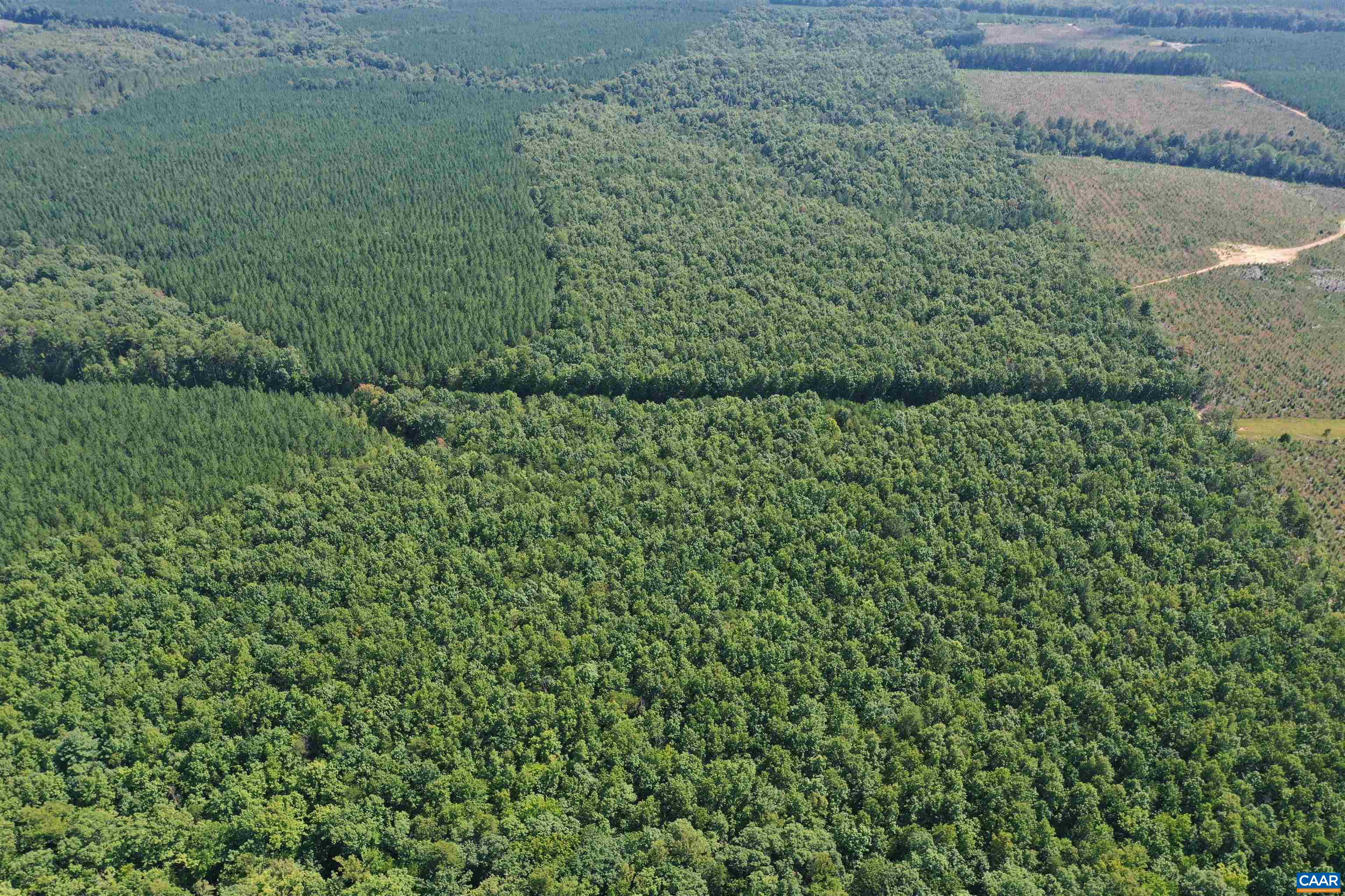 100 Ac W JAMES ANDERSON HWY, GLADSTONE, Virginia 24553, ,Farm,14,100 Ac W JAMES ANDERSON HWY,675255 MLS # 675255 100 Ac W JAMES ANDERSON HWY, GLADSTONE, Virginia 24553, ,Farm,14,100 Ac W JAMES ANDERSON HWY,675255 MLS # 675255