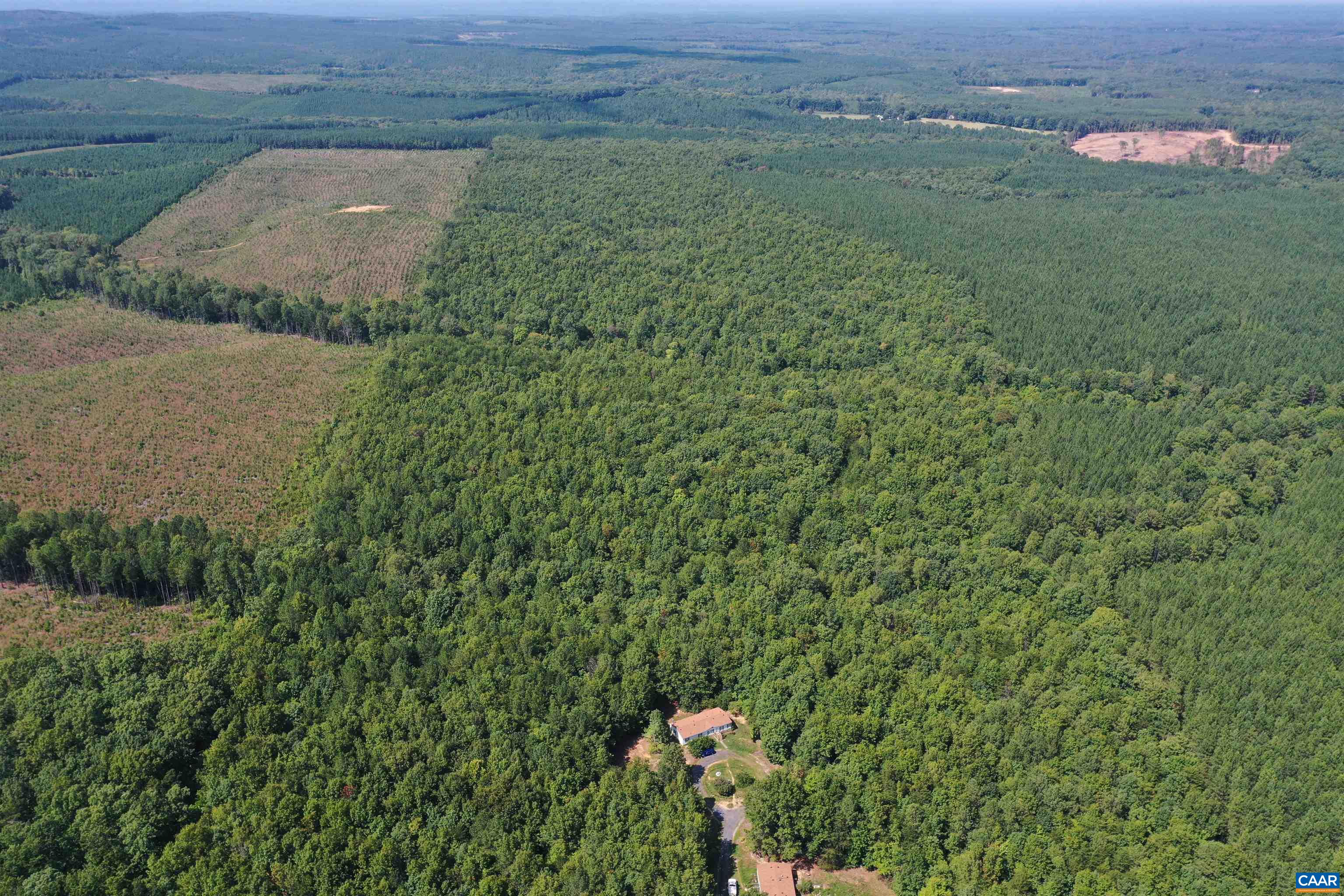 100 Ac W JAMES ANDERSON HWY, GLADSTONE, Virginia 24553, ,Farm,14,100 Ac W JAMES ANDERSON HWY,675255 MLS # 675255 100 Ac W JAMES ANDERSON HWY, GLADSTONE, Virginia 24553, ,Farm,14,100 Ac W JAMES ANDERSON HWY,675255 MLS # 675255
