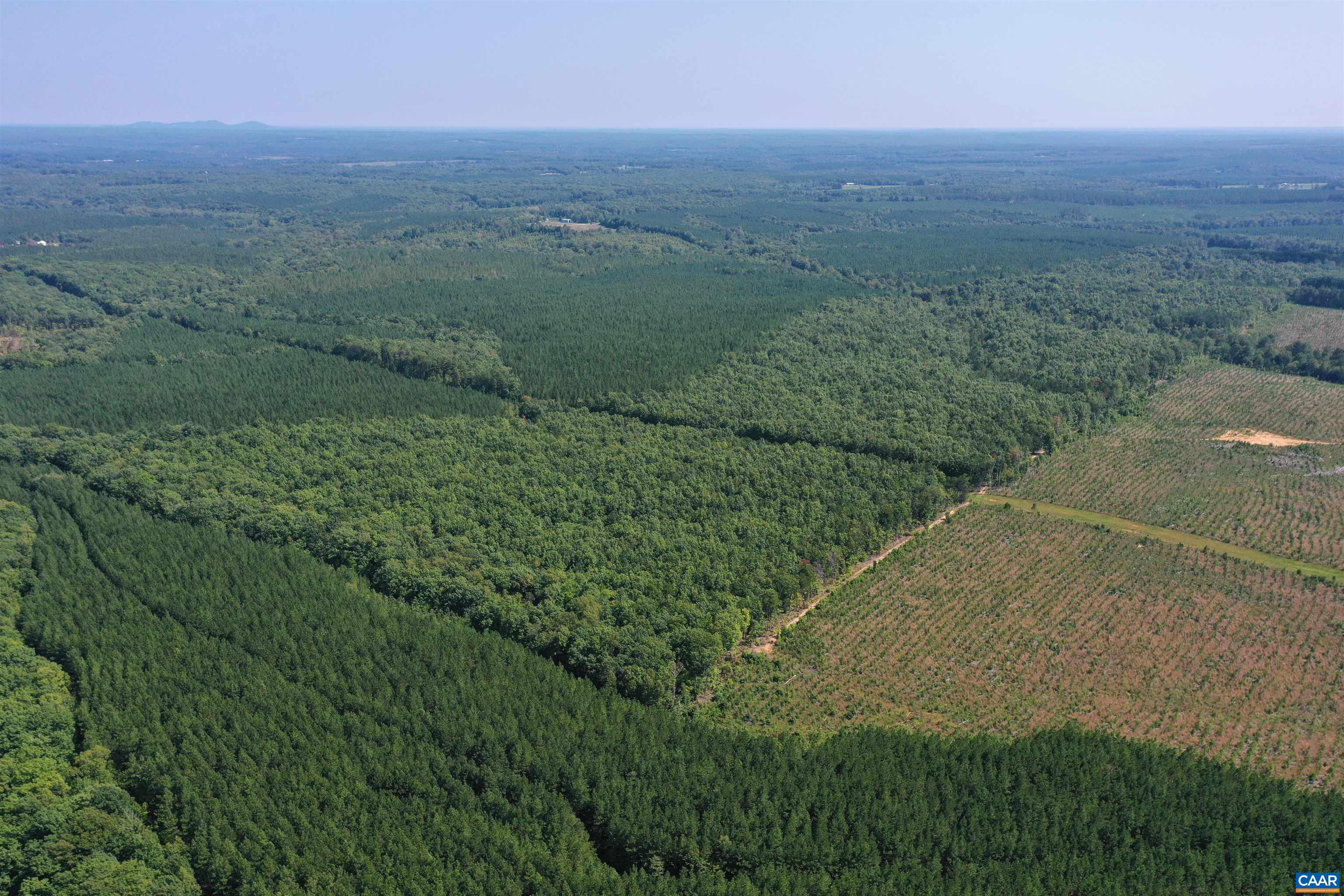 100 Ac W JAMES ANDERSON HWY, GLADSTONE, Virginia 24553, ,Farm,14,100 Ac W JAMES ANDERSON HWY,675255 MLS # 675255 100 Ac W JAMES ANDERSON HWY, GLADSTONE, Virginia 24553, ,Farm,14,100 Ac W JAMES ANDERSON HWY,675255 MLS # 675255