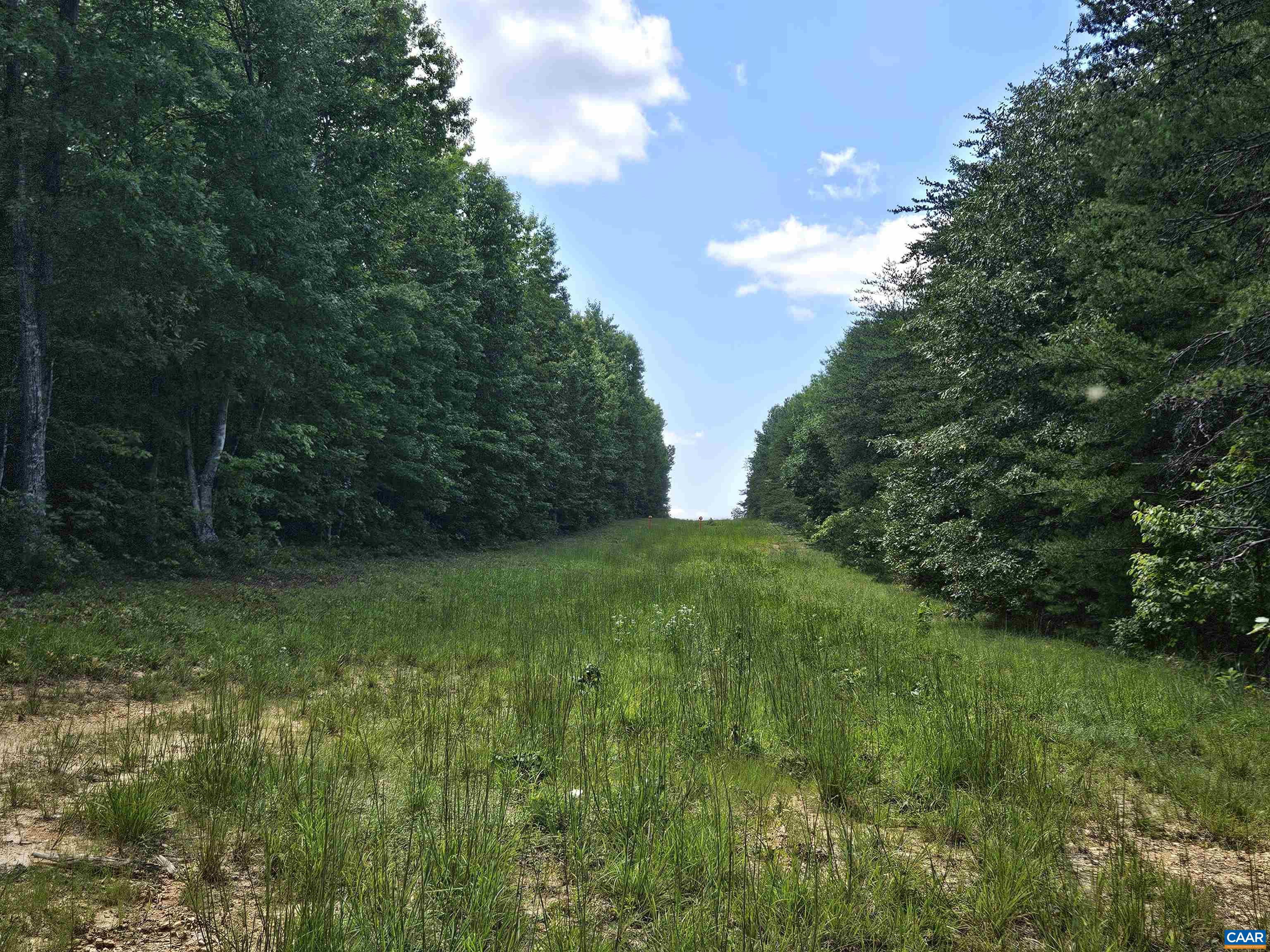 100 Ac W JAMES ANDERSON HWY, GLADSTONE, Virginia 24553, ,Farm,14,100 Ac W JAMES ANDERSON HWY,675255 MLS # 675255 100 Ac W JAMES ANDERSON HWY, GLADSTONE, Virginia 24553, ,Farm,14,100 Ac W JAMES ANDERSON HWY,675255 MLS # 675255