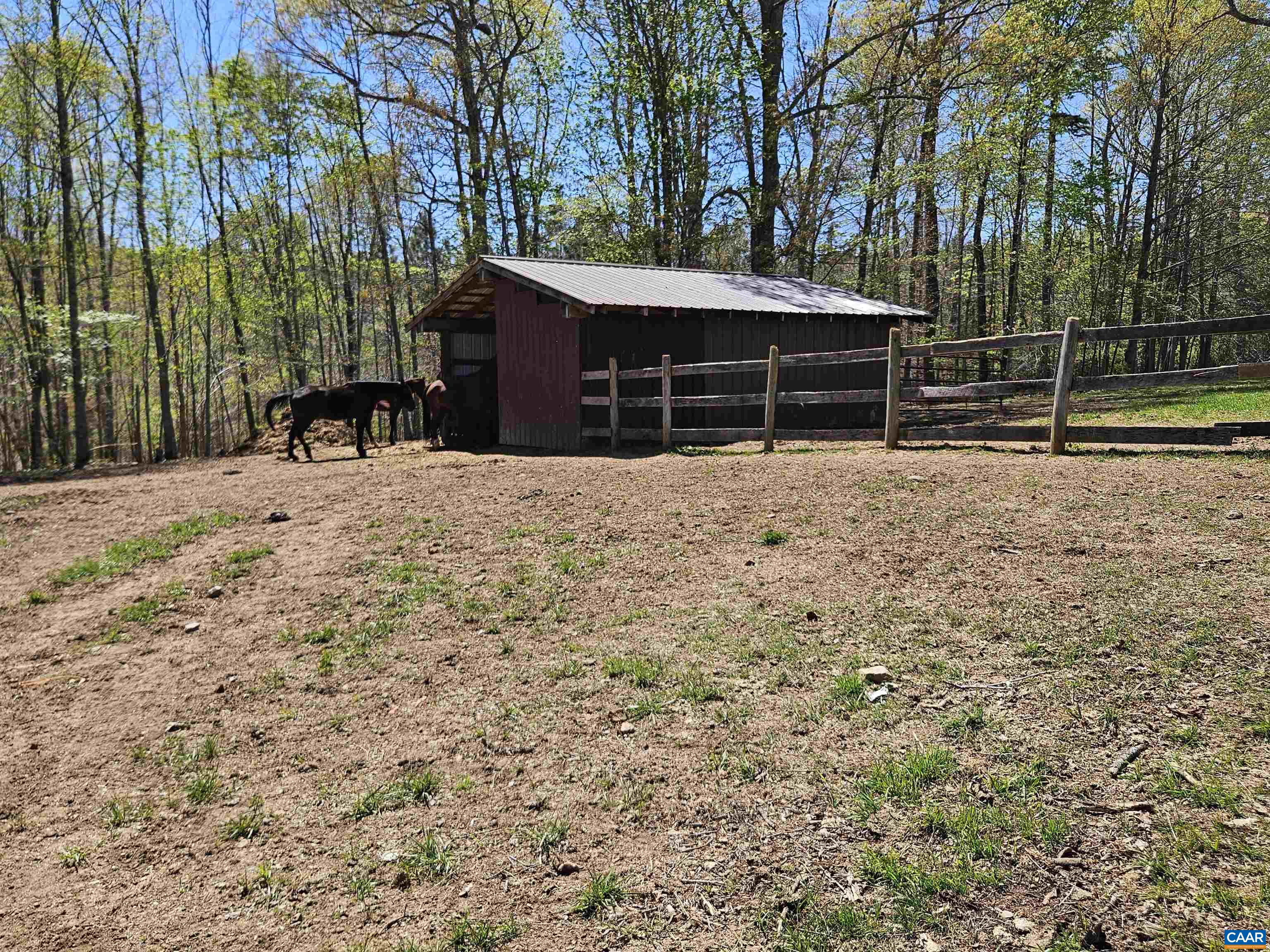 3814 S CONSTITUTION RTE, DILLWYN, Virginia 23936, 3 Bedrooms Bedrooms, ,1 BathroomBathrooms,Residential,14,3814 S CONSTITUTION RTE,675302 MLS # 675302 3814 S CONSTITUTION RTE, DILLWYN, Virginia 23936, 3 Bedrooms Bedrooms, ,1 BathroomBathrooms,Residential,14,3814 S CONSTITUTION RTE,675302 MLS # 675302