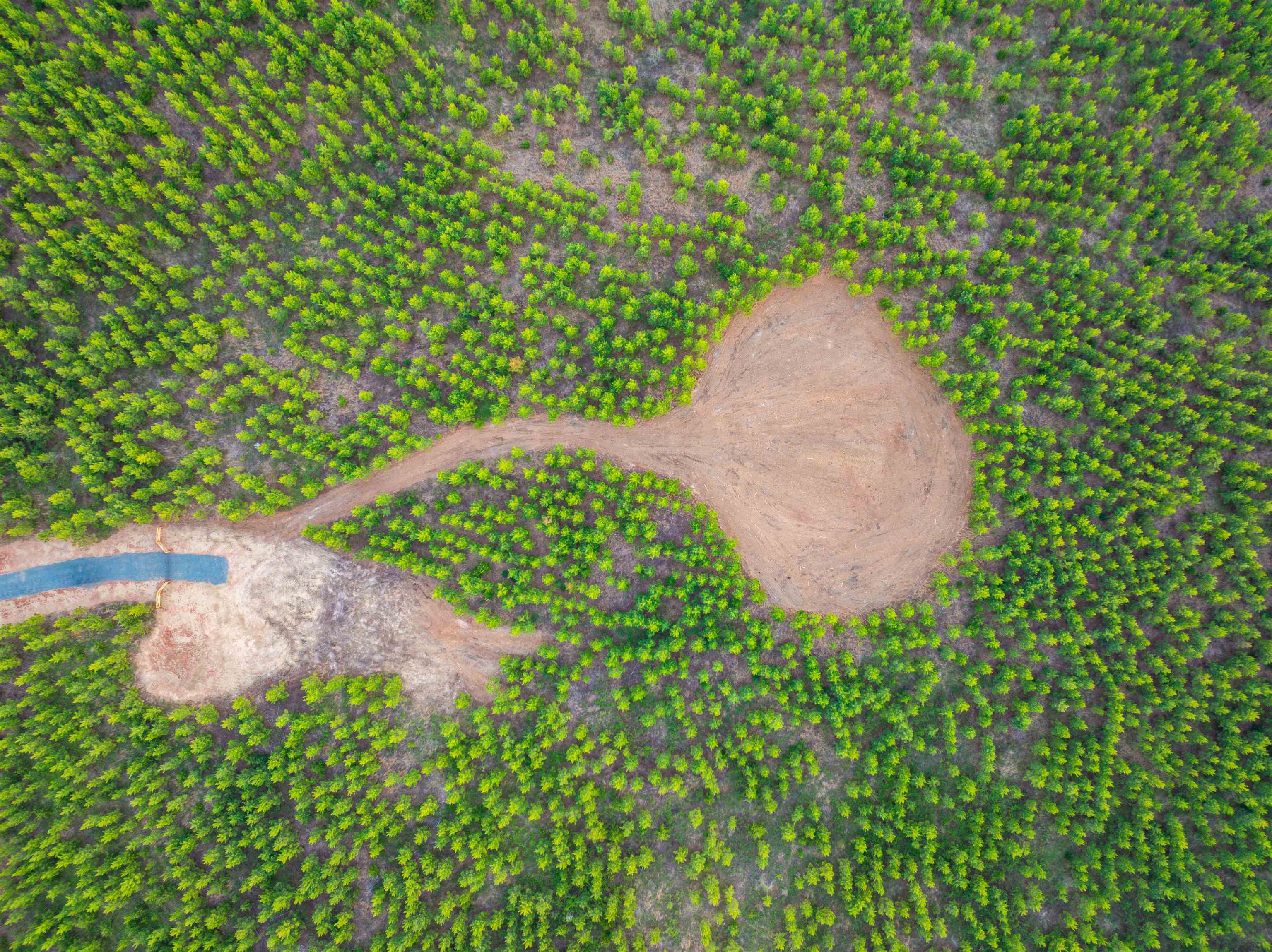 TBD EVERGREEN CHURCH RD, PALMYRA, Virginia 22963, ,Land,14,TBD EVERGREEN CHURCH RD,675331 MLS # 675331