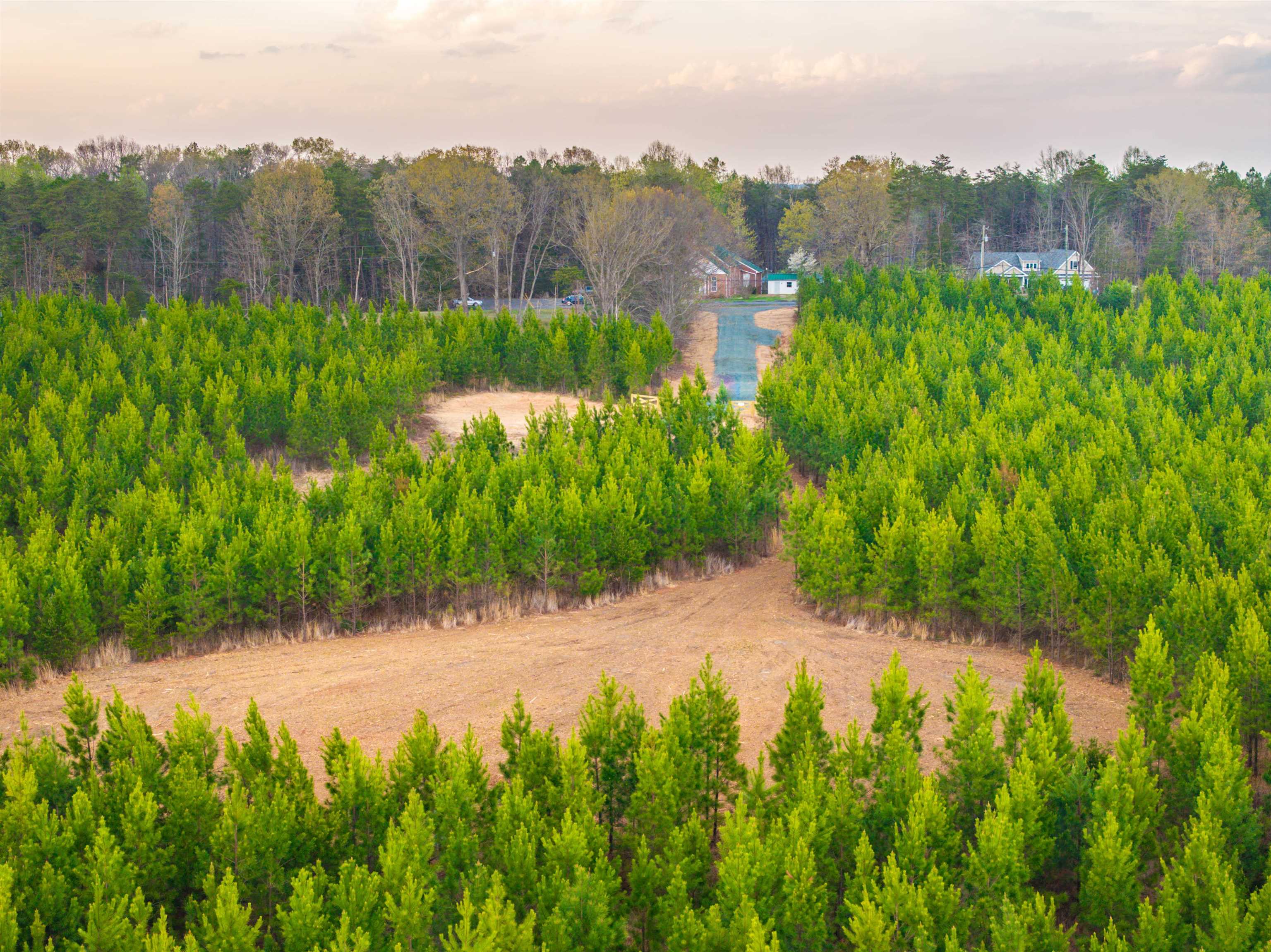 TBD EVERGREEN CHURCH RD, PALMYRA, Virginia 22963, ,Land,14,TBD EVERGREEN CHURCH RD,675331 MLS # 675331