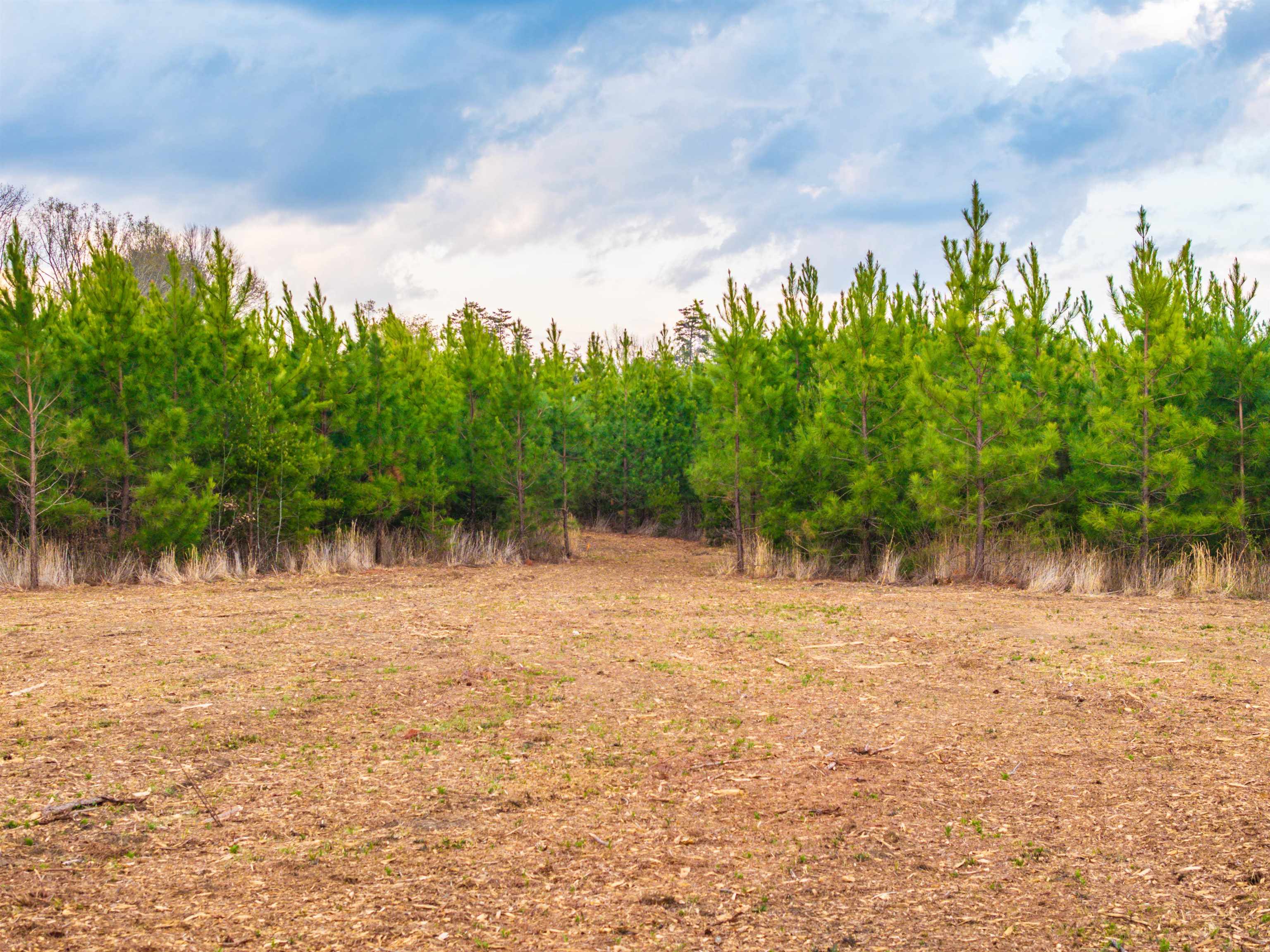 TBD EVERGREEN CHURCH RD, PALMYRA, Virginia 22963, ,Land,14,TBD EVERGREEN CHURCH RD,675331 MLS # 675331