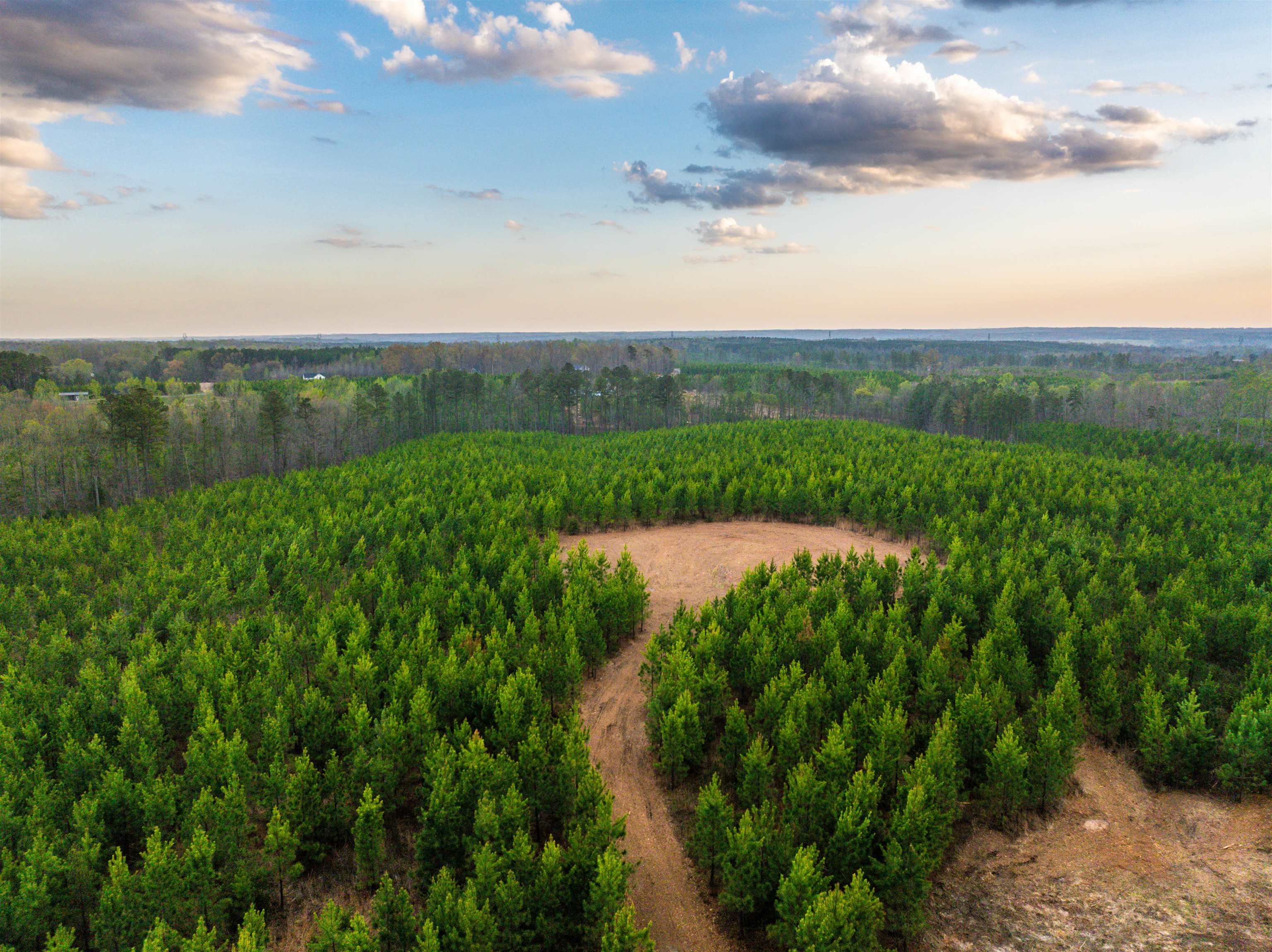 TBD EVERGREEN CHURCH RD, PALMYRA, Virginia 22963, ,Land,14,TBD EVERGREEN CHURCH RD,675331 MLS # 675331