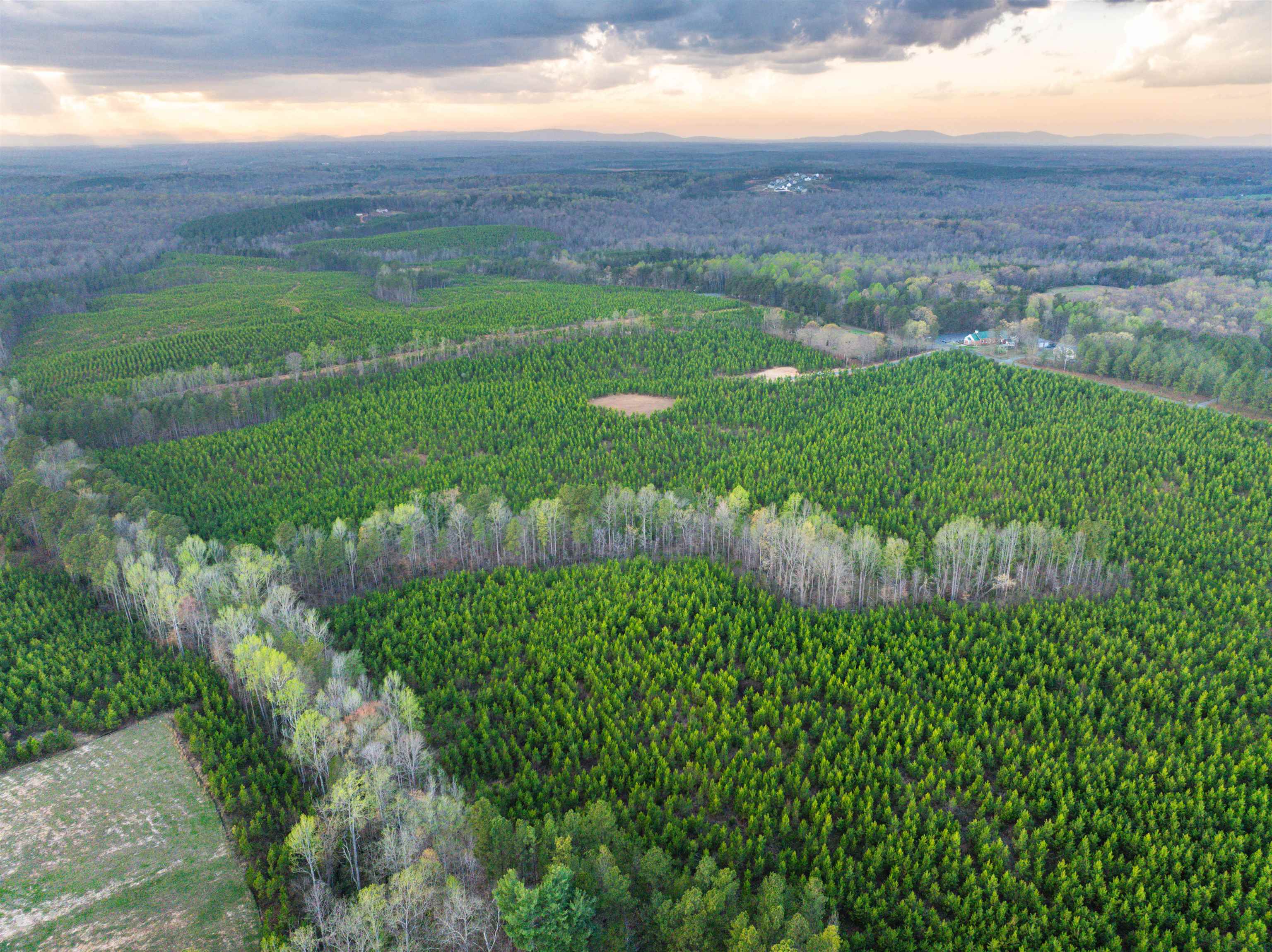 TBD EVERGREEN CHURCH RD, PALMYRA, Virginia 22963, ,Land,14,TBD EVERGREEN CHURCH RD,675331 MLS # 675331