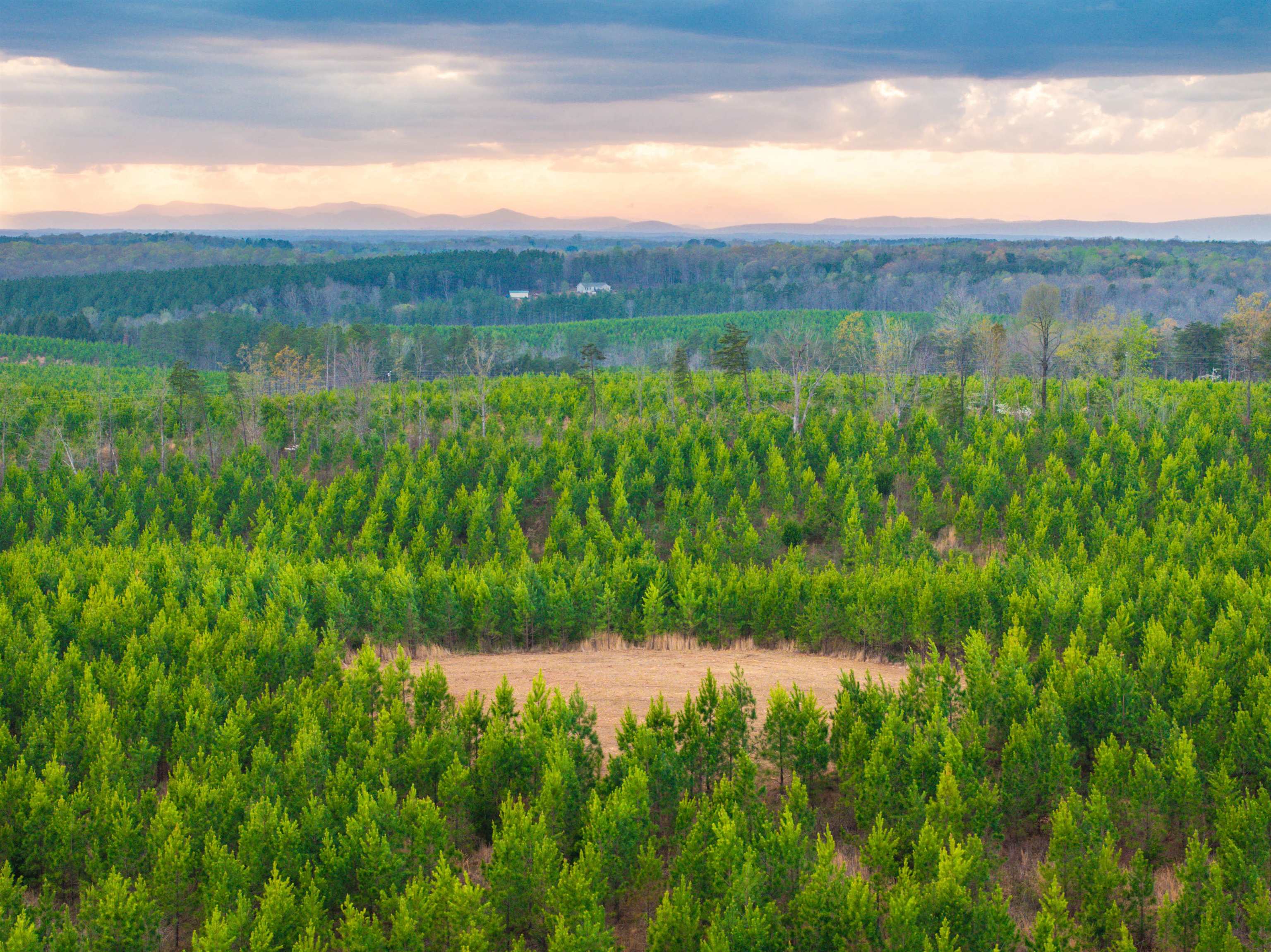 TBD EVERGREEN CHURCH RD, PALMYRA, Virginia 22963, ,Land,14,TBD EVERGREEN CHURCH RD,675331 MLS # 675331