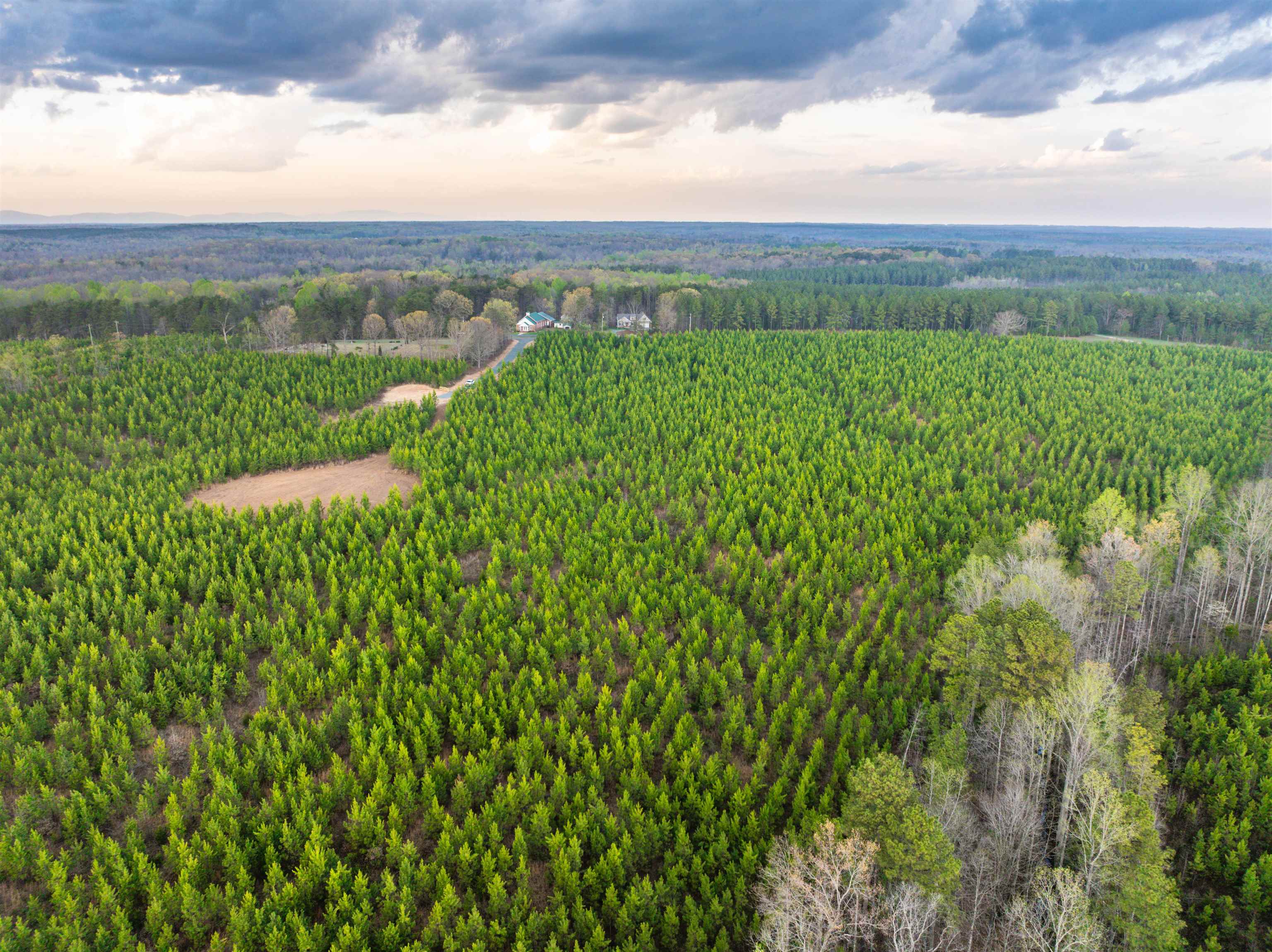 TBD EVERGREEN CHURCH RD, PALMYRA, Virginia 22963, ,Land,14,TBD EVERGREEN CHURCH RD,675331 MLS # 675331