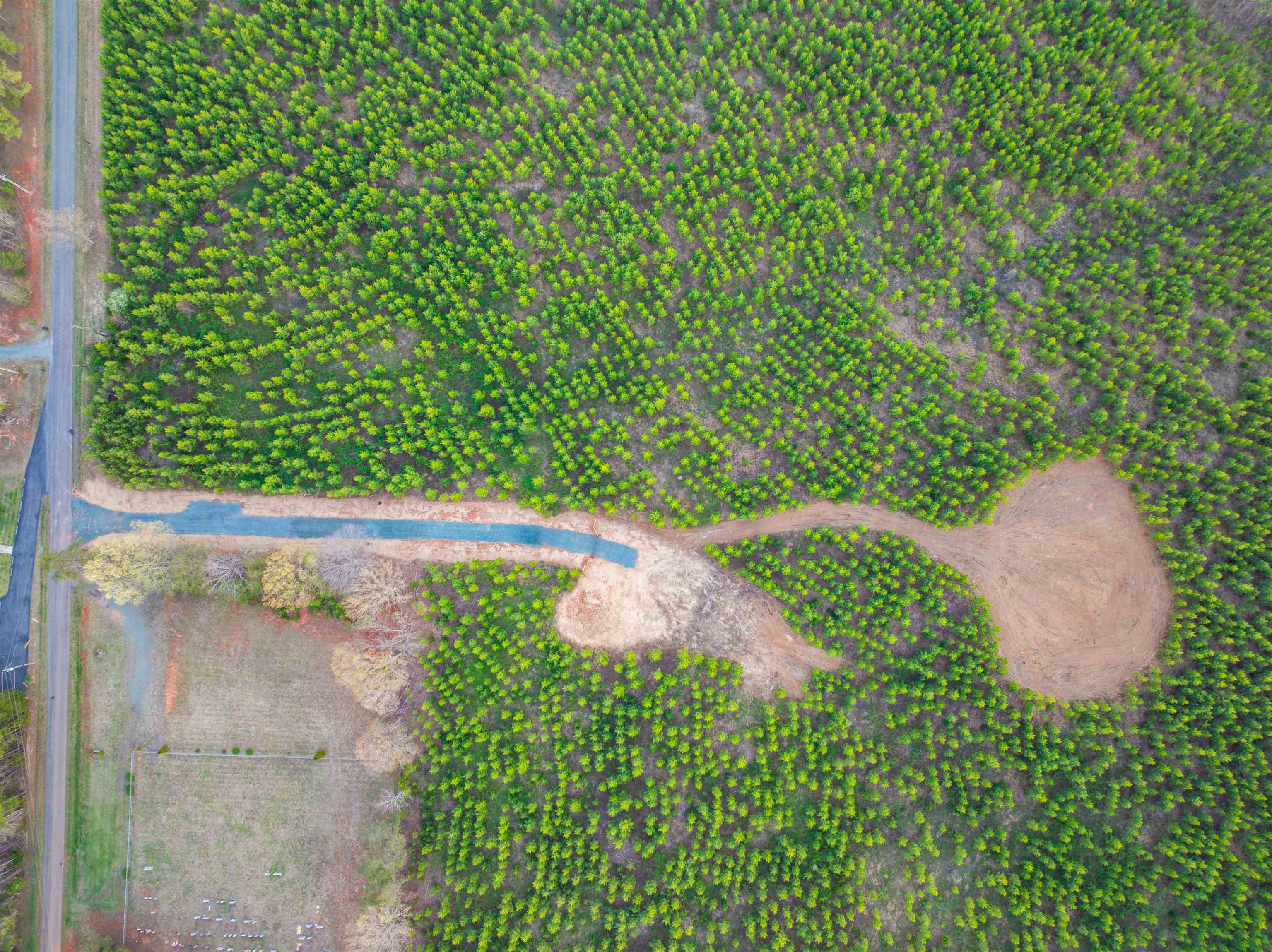 TBD EVERGREEN CHURCH RD, PALMYRA, Virginia 22963, ,Land,14,TBD EVERGREEN CHURCH RD,675331 MLS # 675331