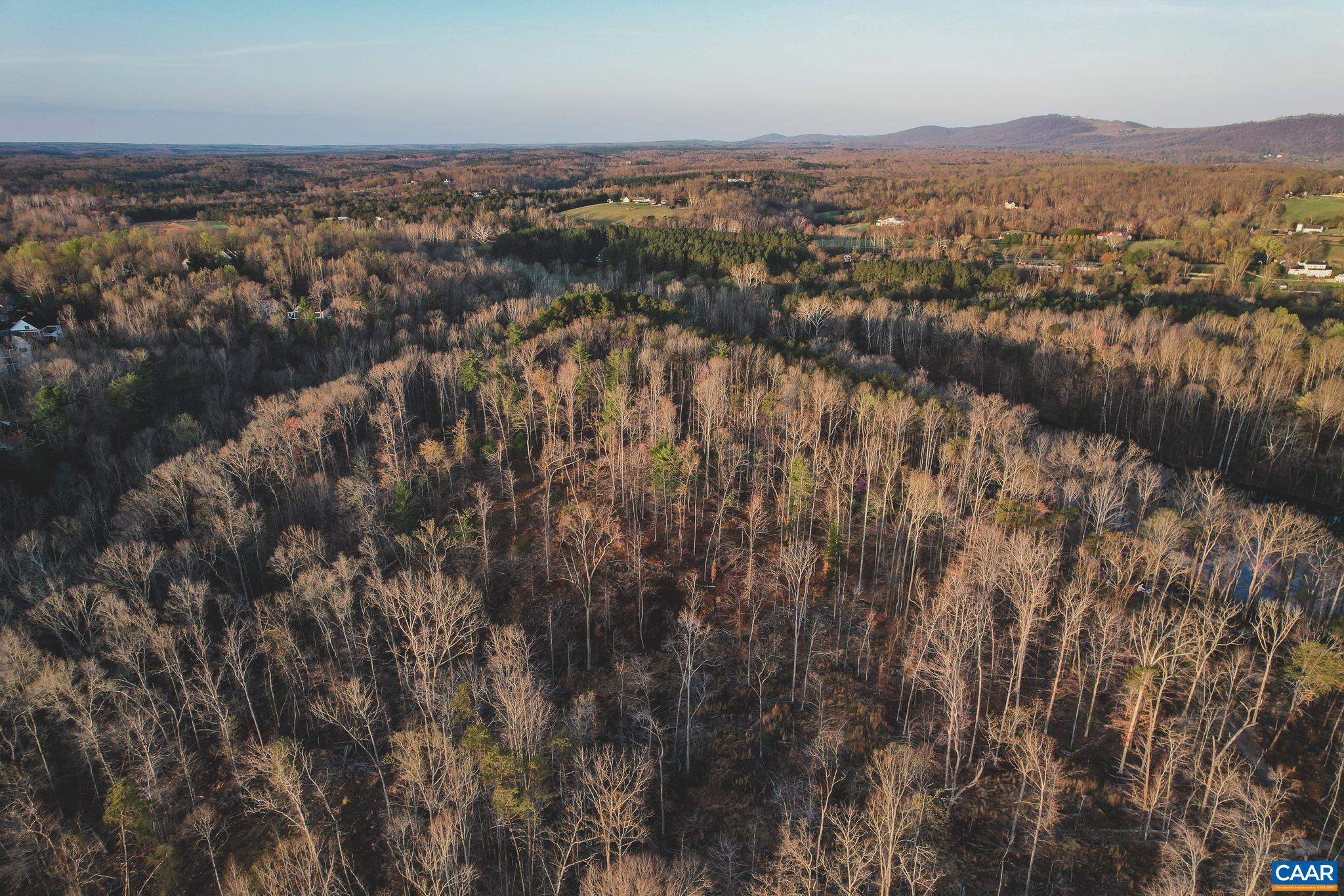 42 SHADWELL RD, KESWICK, Virginia 22947, ,Land,14,42 SHADWELL RD,675338 MLS # 675338 42 SHADWELL RD, KESWICK, Virginia 22947, ,Land,14,42 SHADWELL RD,675338 MLS # 675338