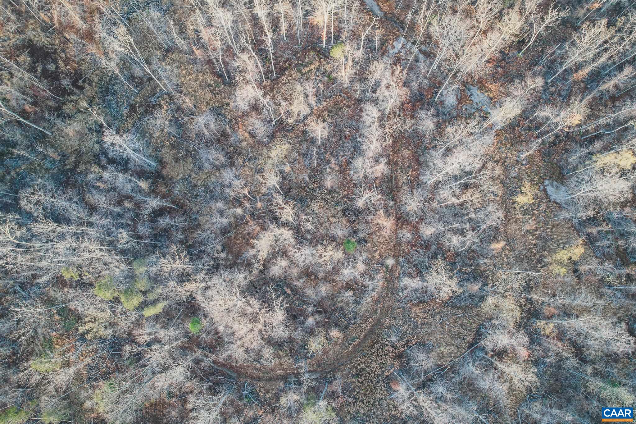 42 SHADWELL RD, KESWICK, Virginia 22947, ,Land,14,42 SHADWELL RD,675338 MLS # 675338 42 SHADWELL RD, KESWICK, Virginia 22947, ,Land,14,42 SHADWELL RD,675338 MLS # 675338