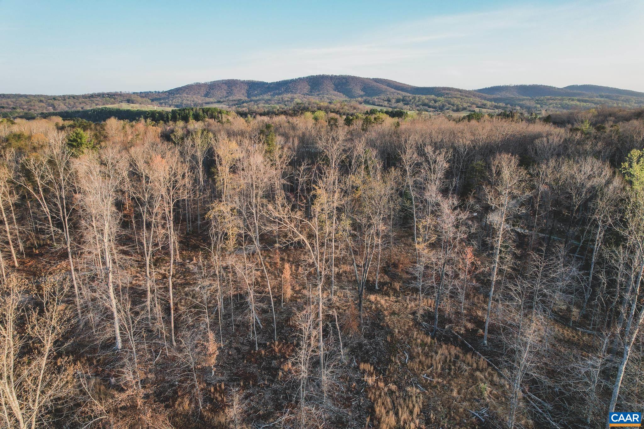 42 SHADWELL RD, KESWICK, Virginia 22947, ,Land,14,42 SHADWELL RD,675338 MLS # 675338 42 SHADWELL RD, KESWICK, Virginia 22947, ,Land,14,42 SHADWELL RD,675338 MLS # 675338