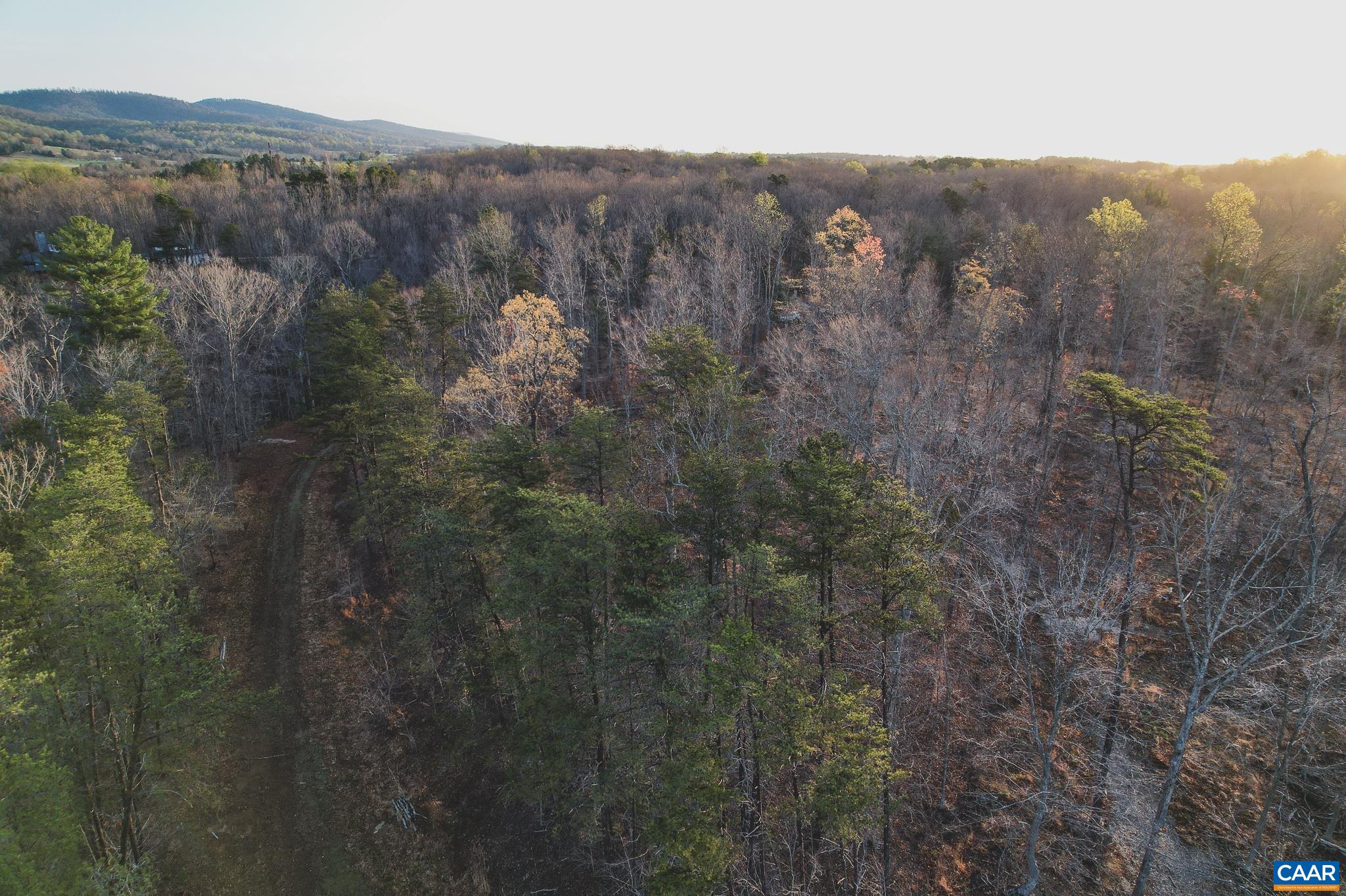 42 SHADWELL RD, KESWICK, Virginia 22947, ,Land,14,42 SHADWELL RD,675338 MLS # 675338 42 SHADWELL RD, KESWICK, Virginia 22947, ,Land,14,42 SHADWELL RD,675338 MLS # 675338