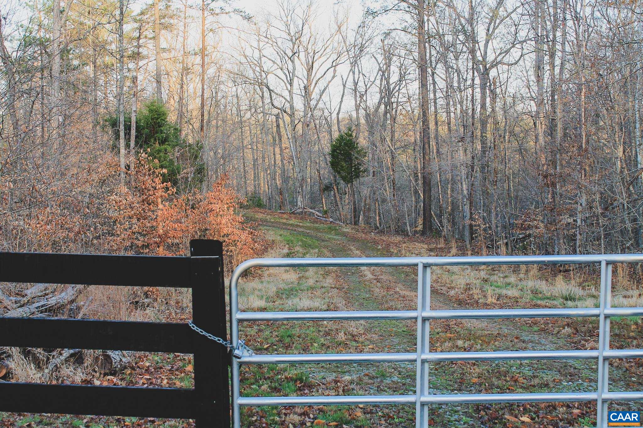 42 SHADWELL RD, KESWICK, Virginia 22947, ,Land,14,42 SHADWELL RD,675338 MLS # 675338 42 SHADWELL RD, KESWICK, Virginia 22947, ,Land,14,42 SHADWELL RD,675338 MLS # 675338