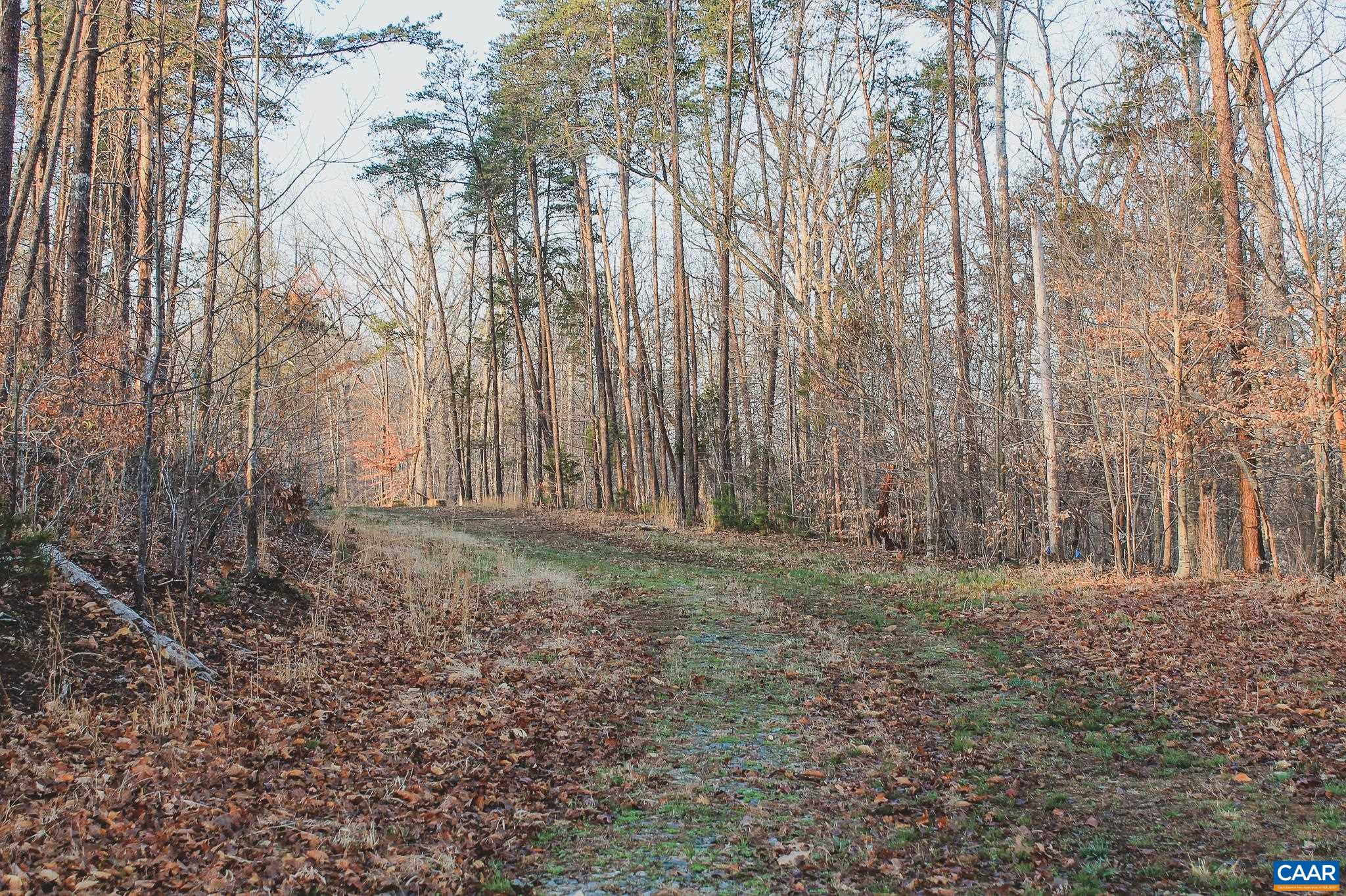 42 SHADWELL RD, KESWICK, Virginia 22947, ,Land,14,42 SHADWELL RD,675338 MLS # 675338 42 SHADWELL RD, KESWICK, Virginia 22947, ,Land,14,42 SHADWELL RD,675338 MLS # 675338