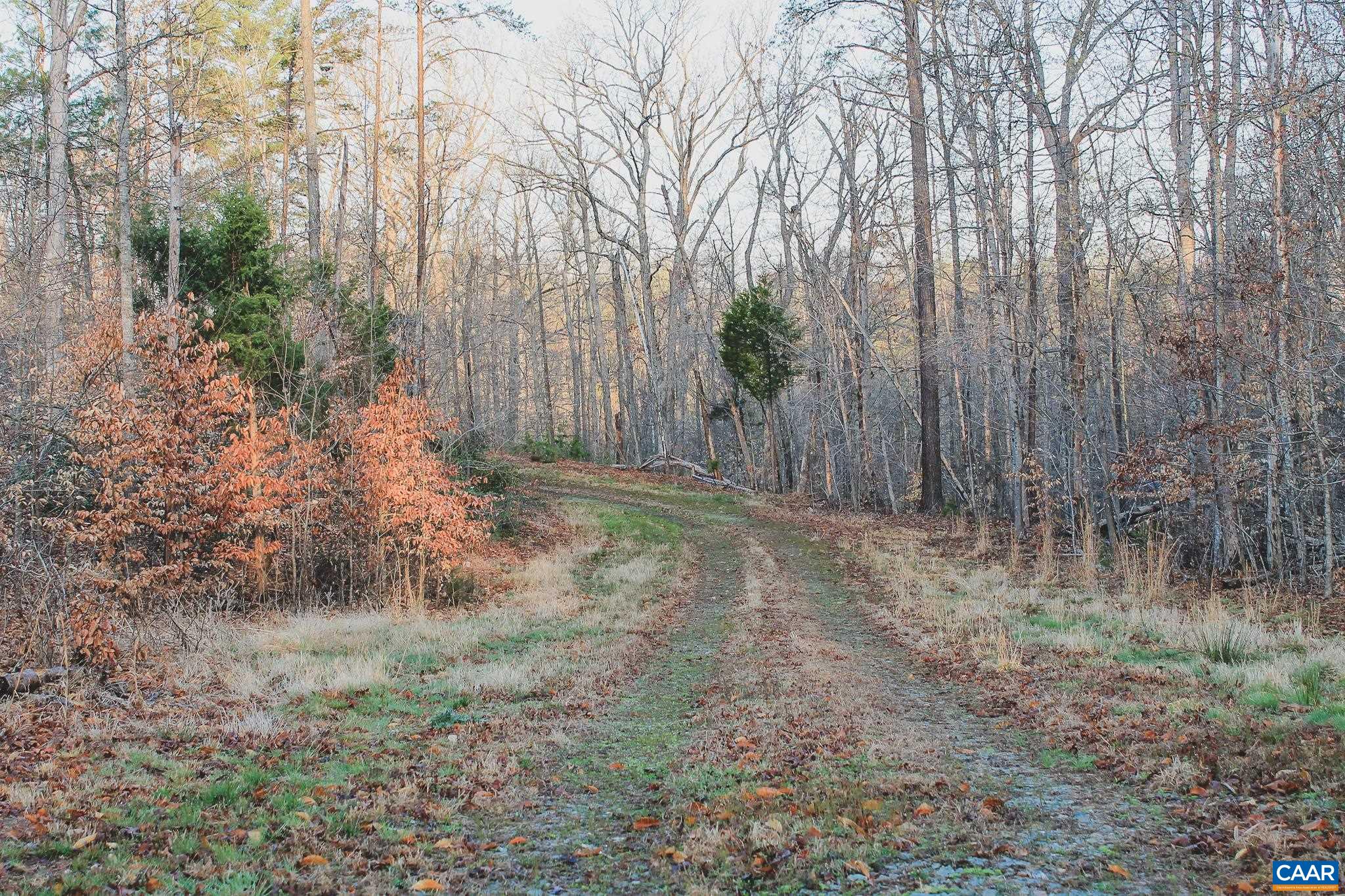 42 SHADWELL RD, KESWICK, Virginia 22947, ,Land,14,42 SHADWELL RD,675338 MLS # 675338 42 SHADWELL RD, KESWICK, Virginia 22947, ,Land,14,42 SHADWELL RD,675338 MLS # 675338