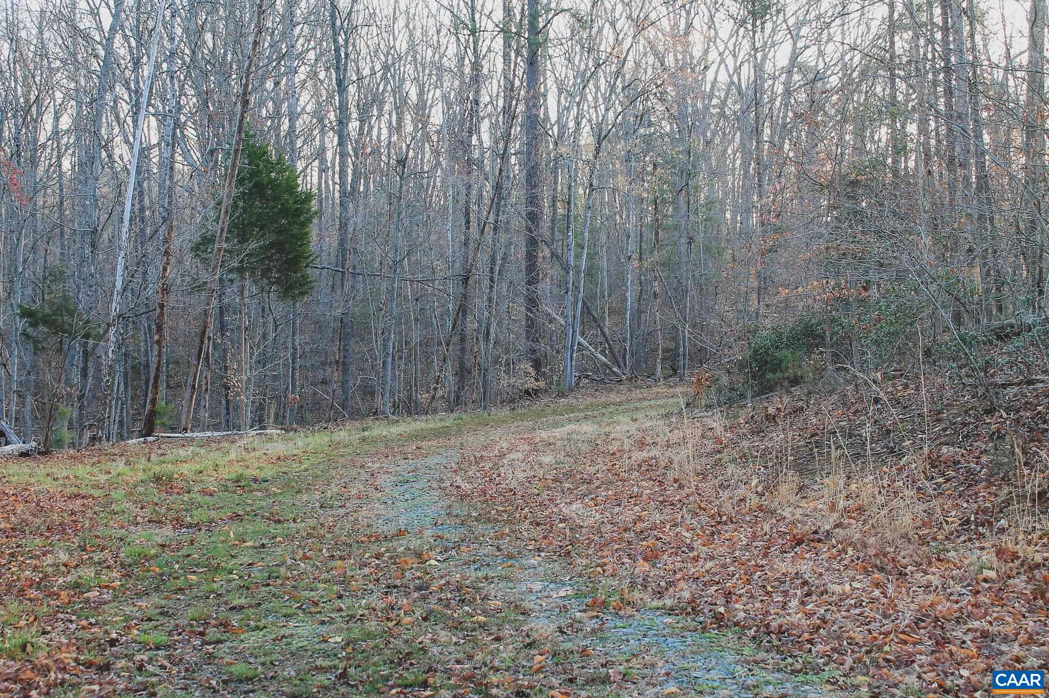 42 SHADWELL RD, KESWICK, Virginia 22947, ,Land,14,42 SHADWELL RD,675338 MLS # 675338 42 SHADWELL RD, KESWICK, Virginia 22947, ,Land,14,42 SHADWELL RD,675338 MLS # 675338