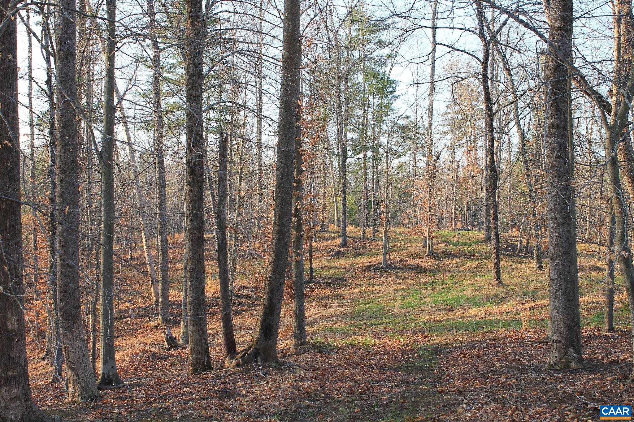 42 SHADWELL RD, KESWICK, Virginia 22947, ,Land,14,42 SHADWELL RD,675338 MLS # 675338 42 SHADWELL RD, KESWICK, Virginia 22947, ,Land,14,42 SHADWELL RD,675338 MLS # 675338