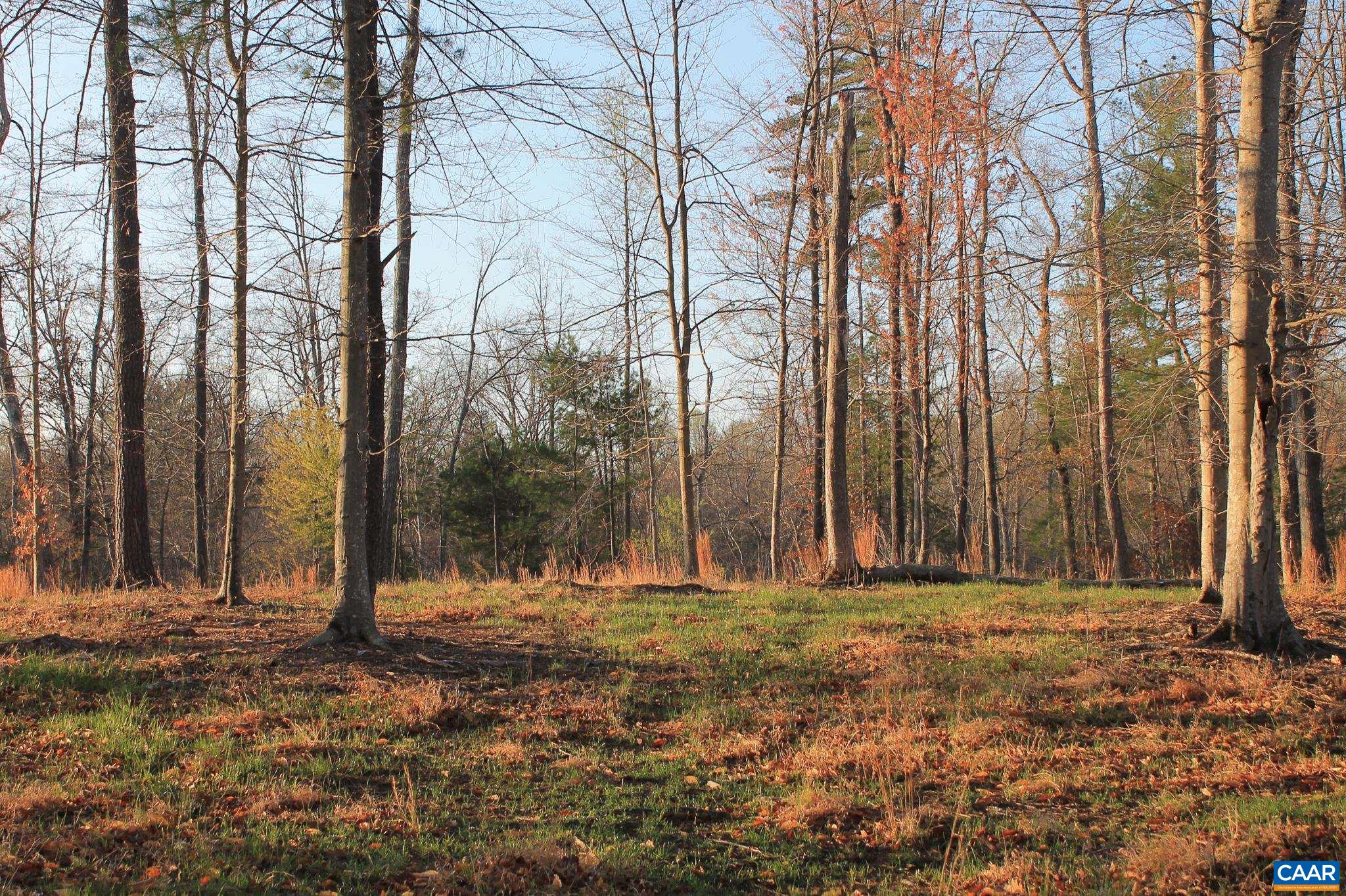 42 SHADWELL RD, KESWICK, Virginia 22947, ,Land,14,42 SHADWELL RD,675338 MLS # 675338 42 SHADWELL RD, KESWICK, Virginia 22947, ,Land,14,42 SHADWELL RD,675338 MLS # 675338