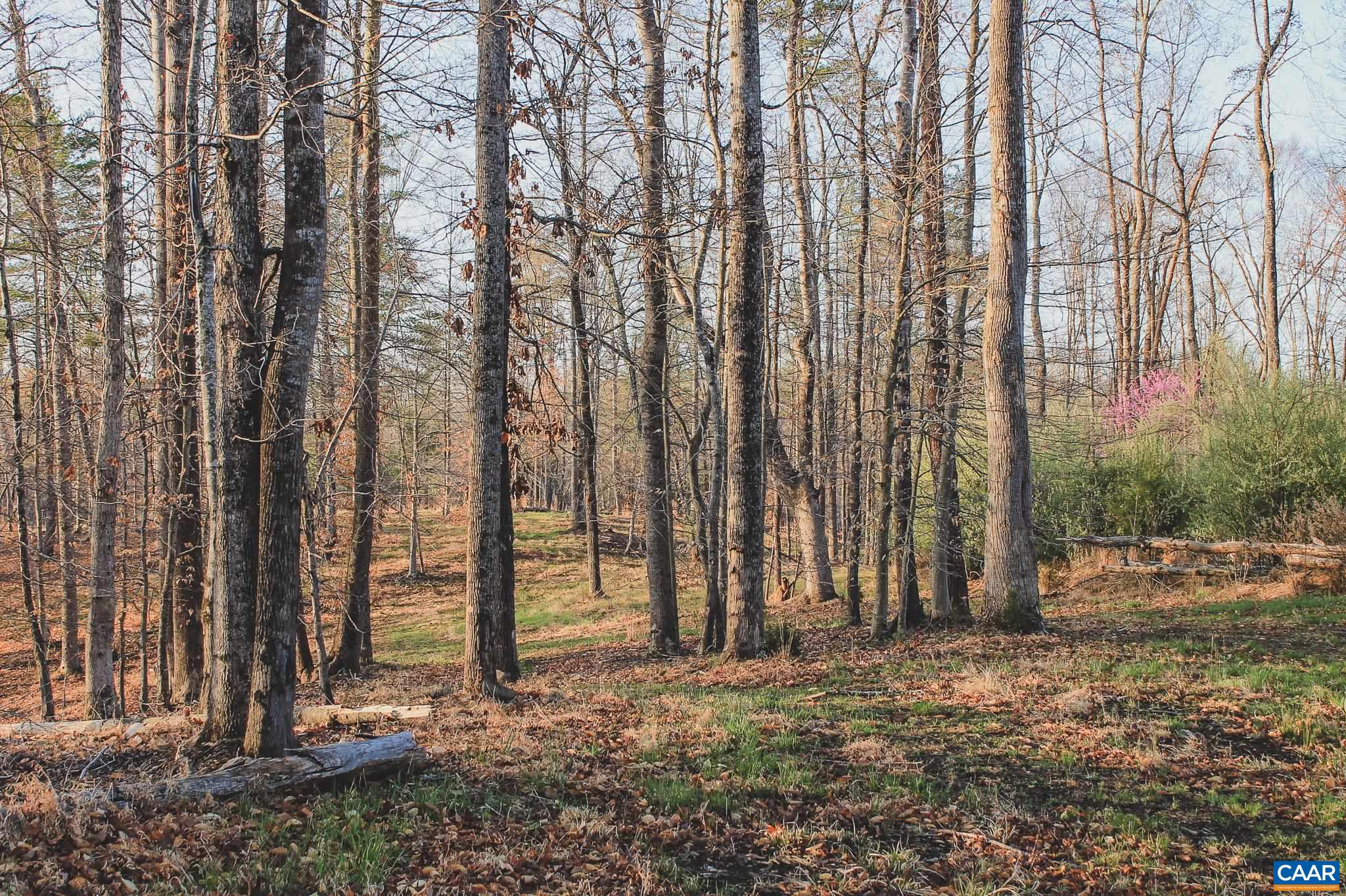 42 SHADWELL RD, KESWICK, Virginia 22947, ,Land,14,42 SHADWELL RD,675338 MLS # 675338 42 SHADWELL RD, KESWICK, Virginia 22947, ,Land,14,42 SHADWELL RD,675338 MLS # 675338