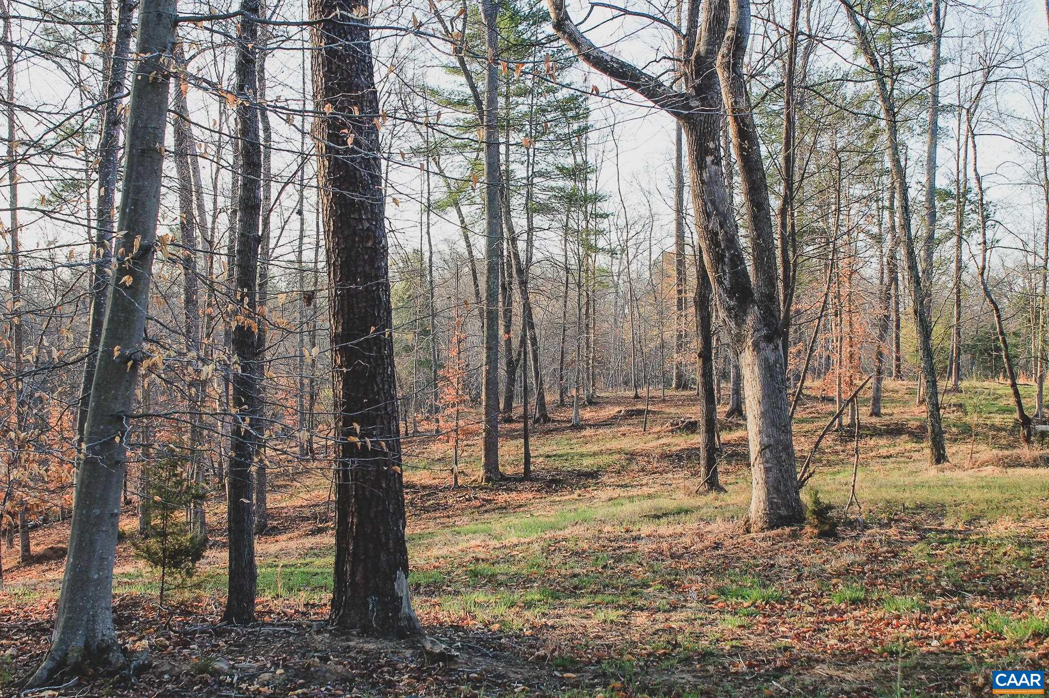 42 SHADWELL RD, KESWICK, Virginia 22947, ,Land,14,42 SHADWELL RD,675338 MLS # 675338 42 SHADWELL RD, KESWICK, Virginia 22947, ,Land,14,42 SHADWELL RD,675338 MLS # 675338