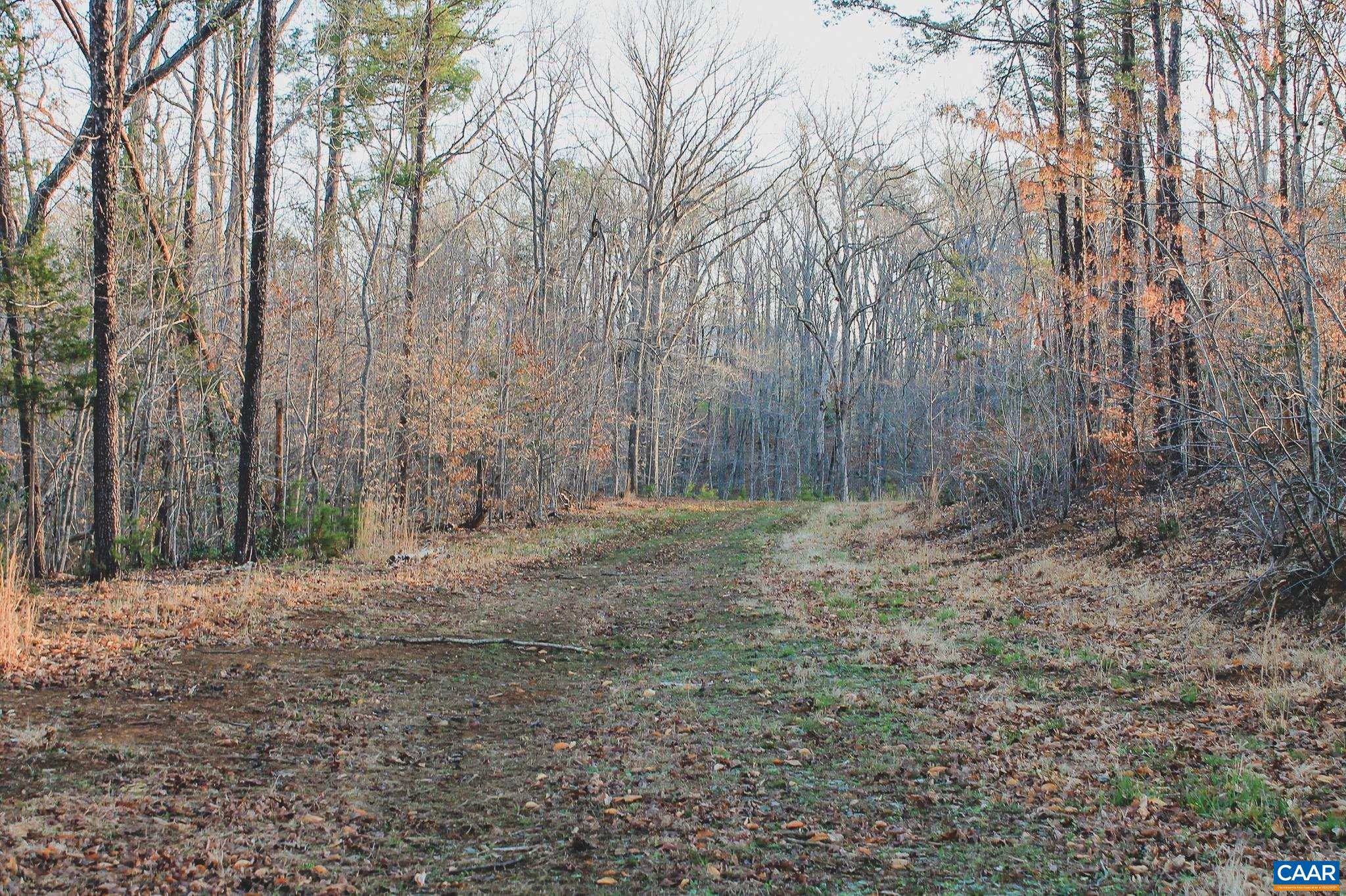 42 SHADWELL RD, KESWICK, Virginia 22947, ,Land,14,42 SHADWELL RD,675338 MLS # 675338 42 SHADWELL RD, KESWICK, Virginia 22947, ,Land,14,42 SHADWELL RD,675338 MLS # 675338