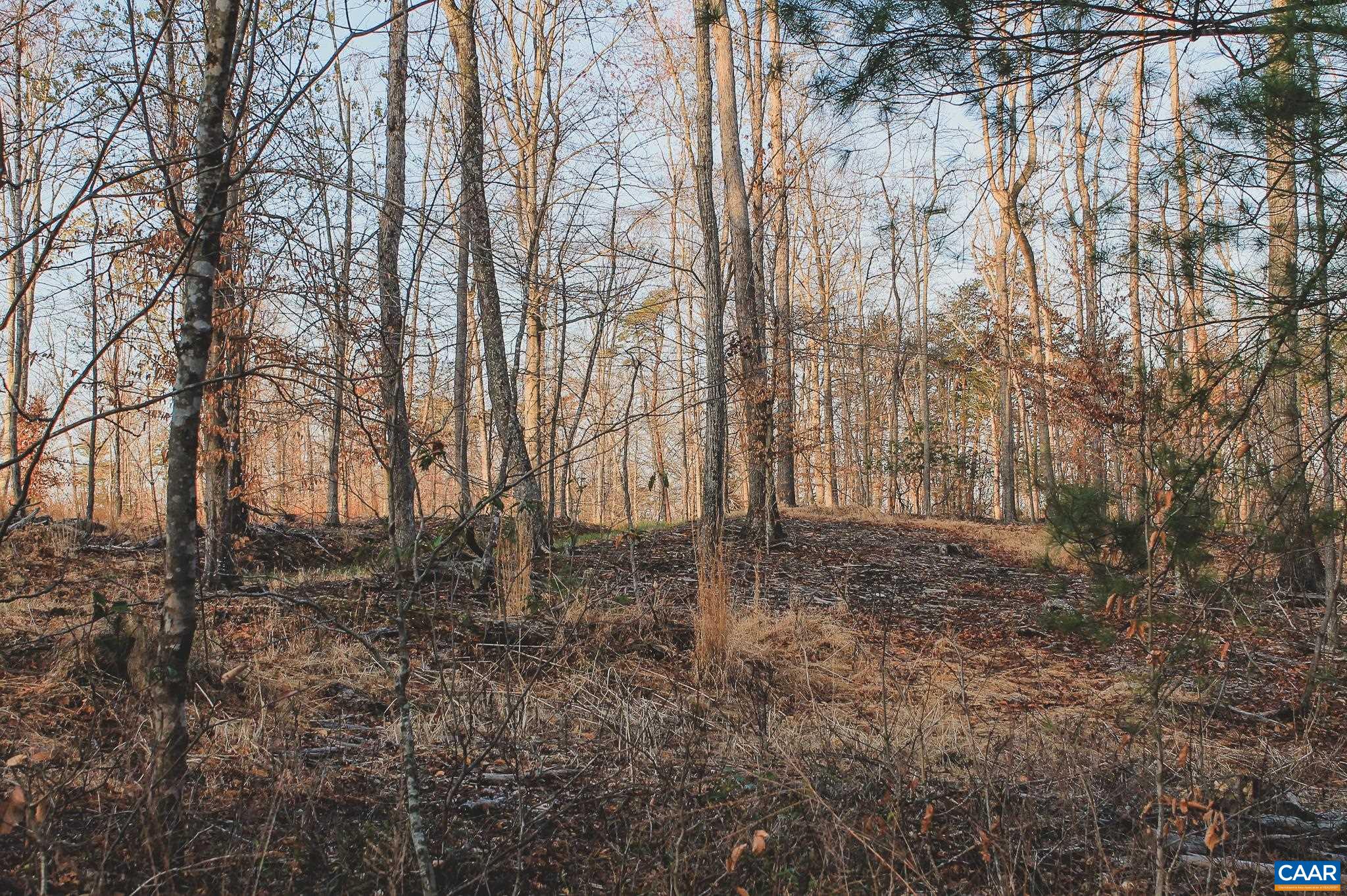 42 SHADWELL RD, KESWICK, Virginia 22947, ,Land,14,42 SHADWELL RD,675338 MLS # 675338 42 SHADWELL RD, KESWICK, Virginia 22947, ,Land,14,42 SHADWELL RD,675338 MLS # 675338