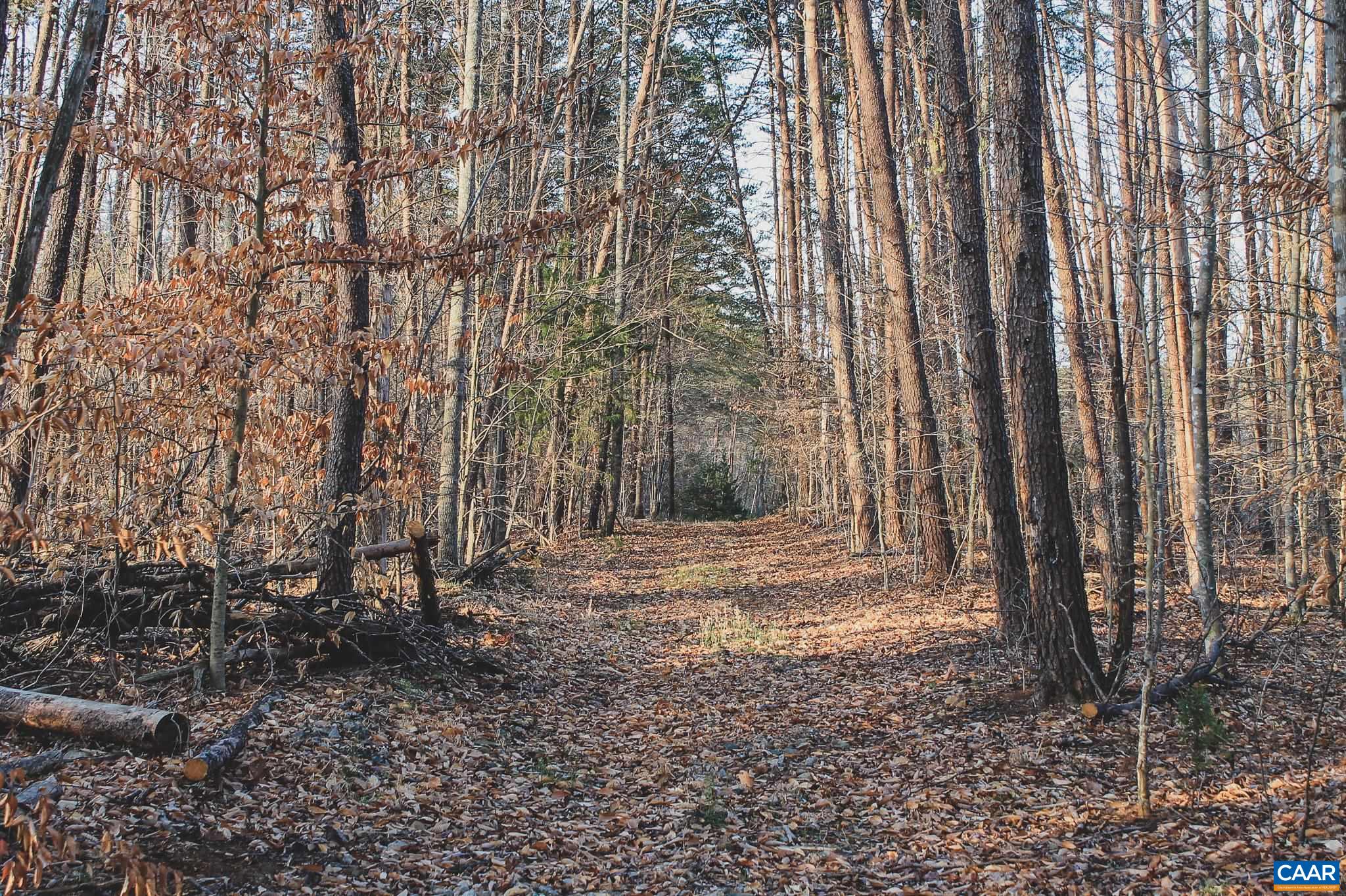 42 SHADWELL RD, KESWICK, Virginia 22947, ,Land,14,42 SHADWELL RD,675338 MLS # 675338 42 SHADWELL RD, KESWICK, Virginia 22947, ,Land,14,42 SHADWELL RD,675338 MLS # 675338