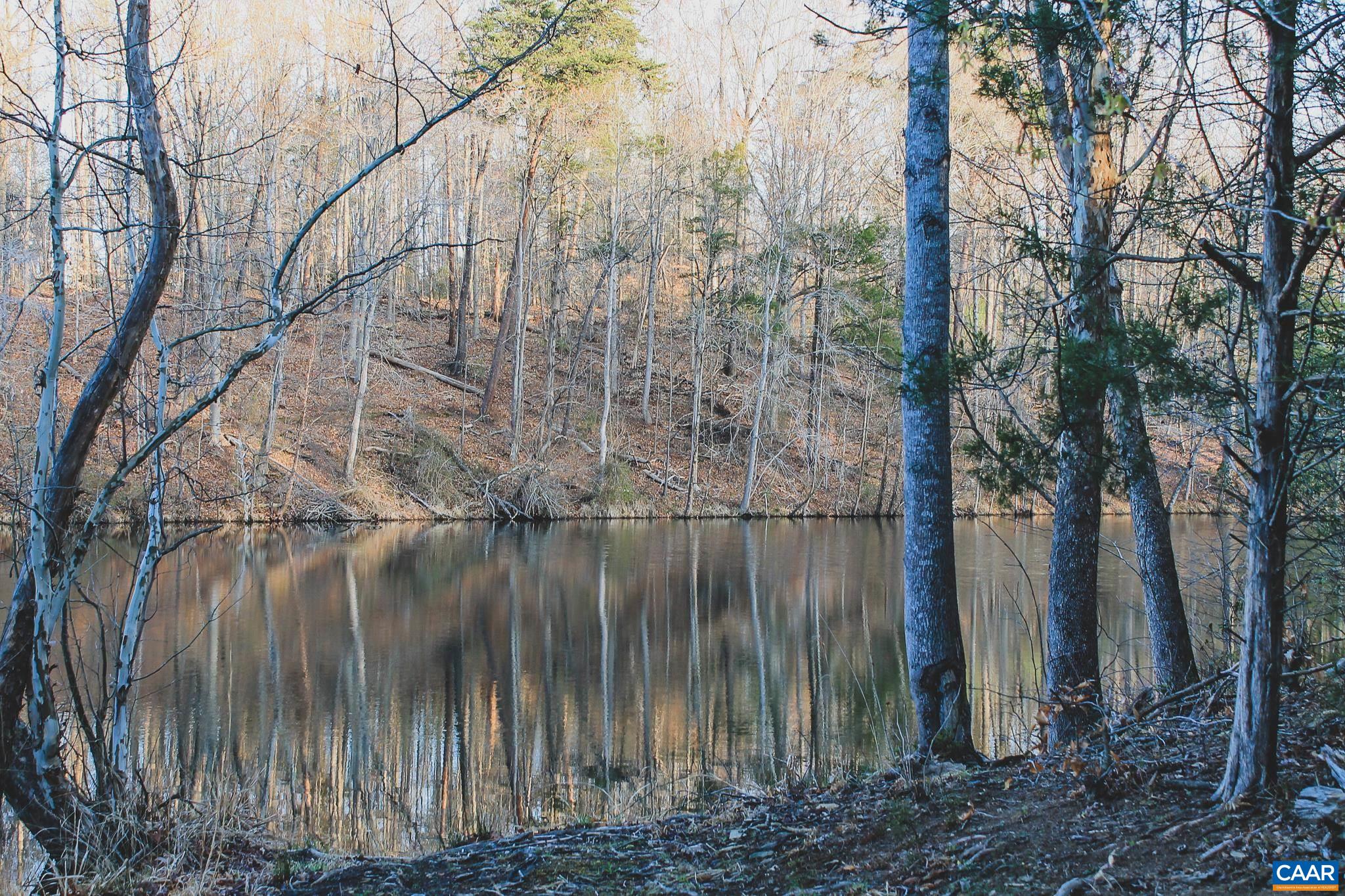 42 SHADWELL RD, KESWICK, Virginia 22947, ,Land,14,42 SHADWELL RD,675338 MLS # 675338 42 SHADWELL RD, KESWICK, Virginia 22947, ,Land,14,42 SHADWELL RD,675338 MLS # 675338