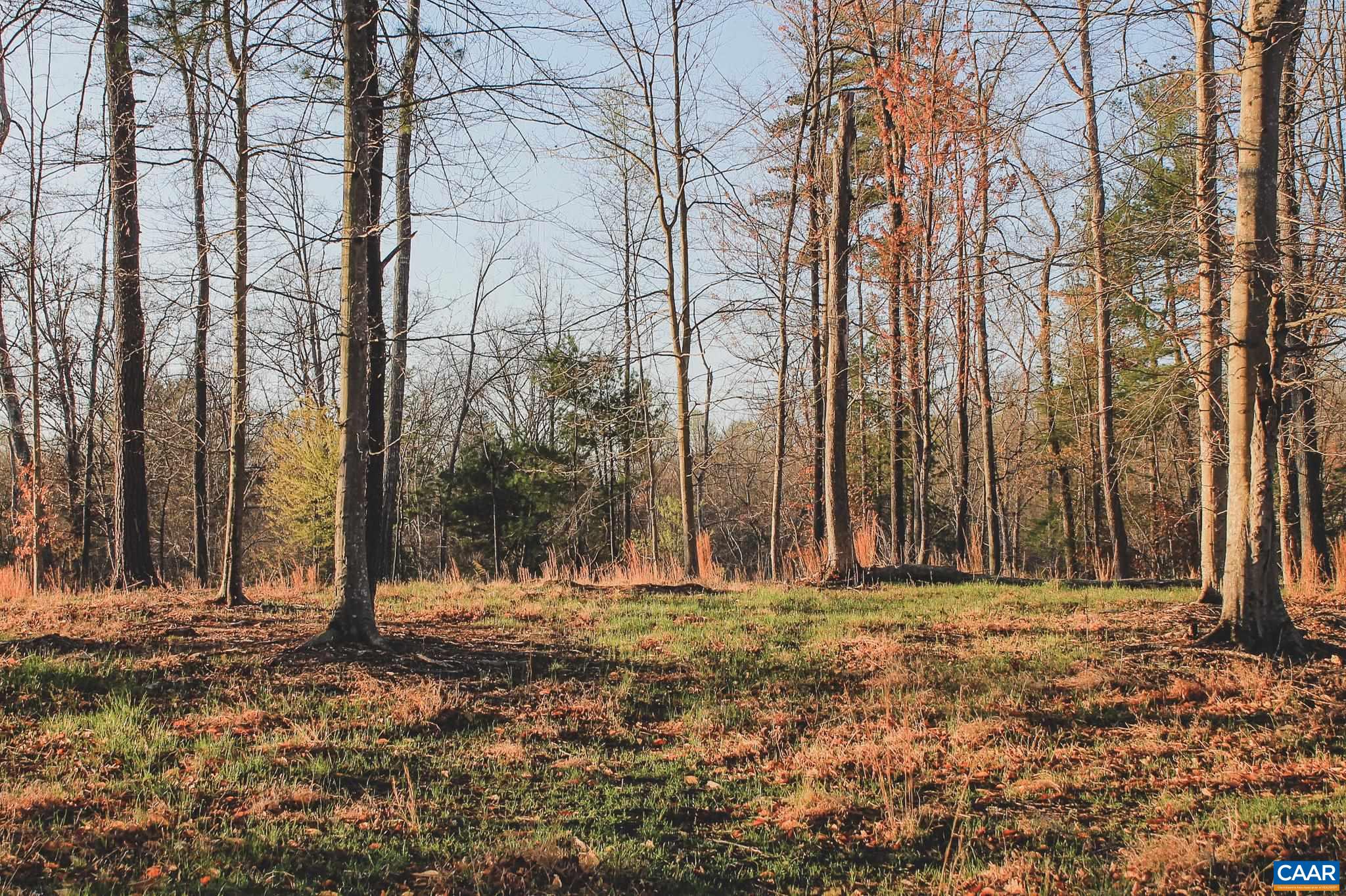 42 SHADWELL RD, KESWICK, Virginia 22947, ,Land,14,42 SHADWELL RD,675338 MLS # 675338 42 SHADWELL RD, KESWICK, Virginia 22947, ,Land,14,42 SHADWELL RD,675338 MLS # 675338