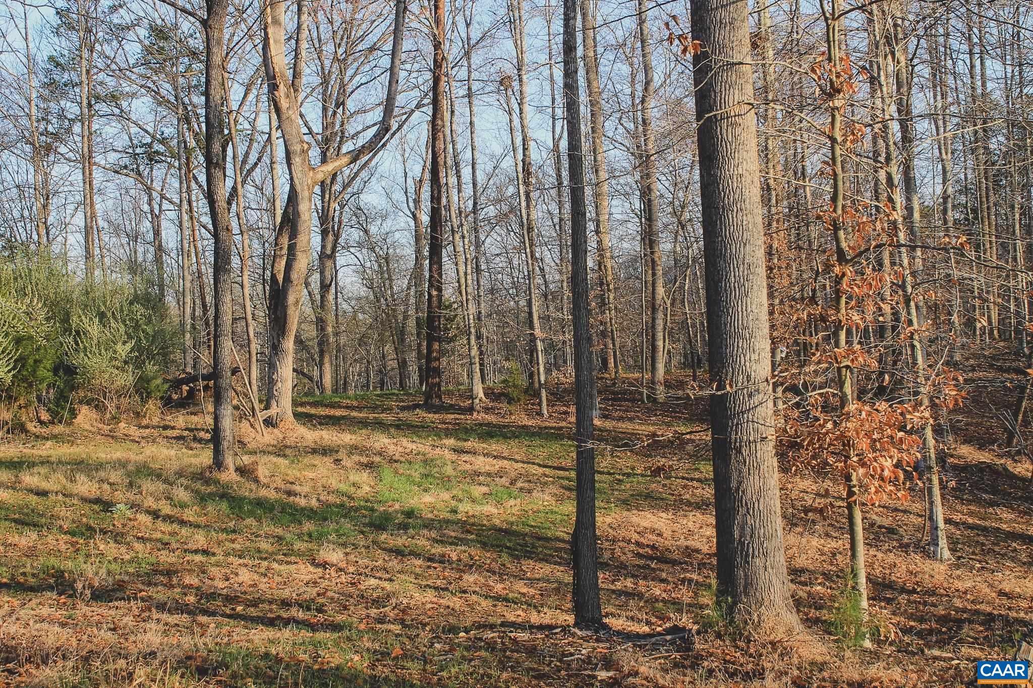 42 SHADWELL RD, KESWICK, Virginia 22947, ,Land,14,42 SHADWELL RD,675338 MLS # 675338 42 SHADWELL RD, KESWICK, Virginia 22947, ,Land,14,42 SHADWELL RD,675338 MLS # 675338