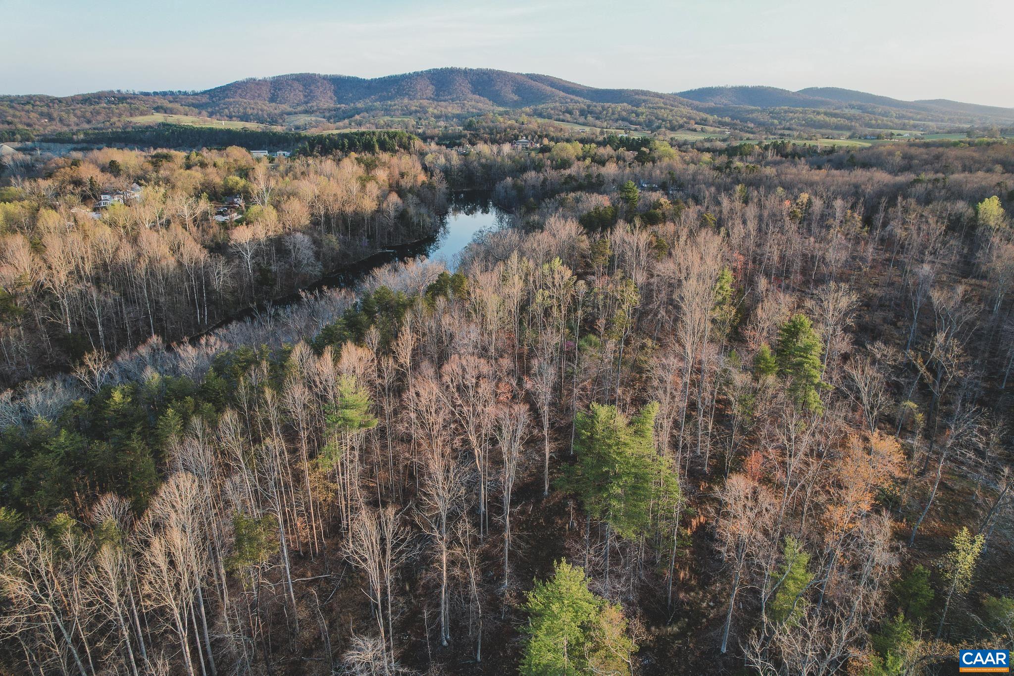 42 SHADWELL RD, KESWICK, Virginia 22947, ,Land,14,42 SHADWELL RD,675338 MLS # 675338 42 SHADWELL RD, KESWICK, Virginia 22947, ,Land,14,42 SHADWELL RD,675338 MLS # 675338