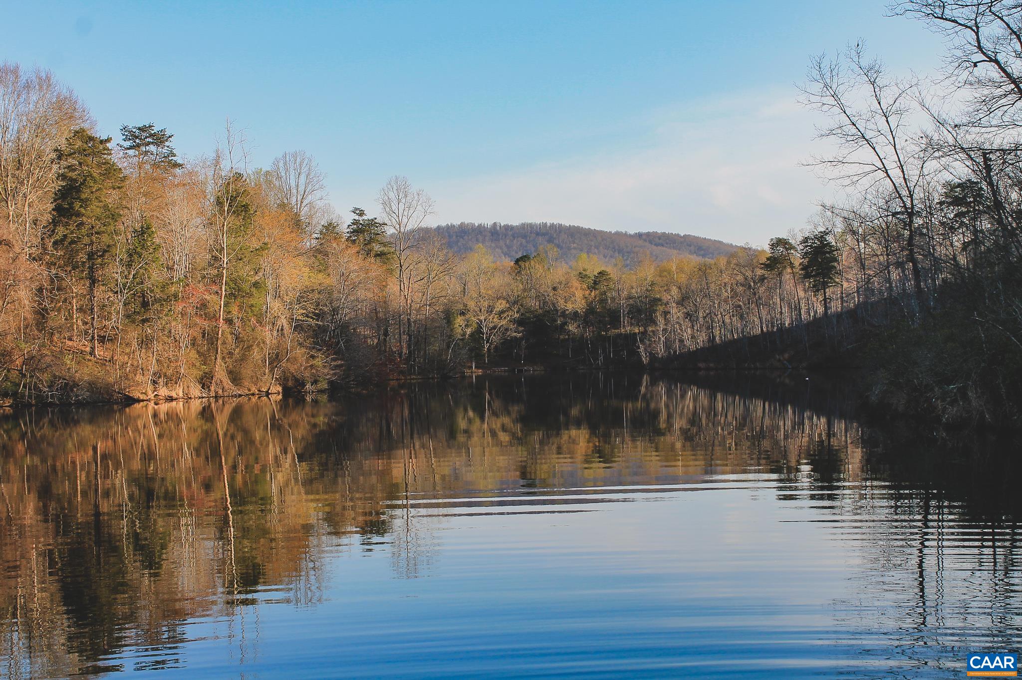 42 SHADWELL RD, KESWICK, Virginia 22947, ,Land,14,42 SHADWELL RD,675338 MLS # 675338 42 SHADWELL RD, KESWICK, Virginia 22947, ,Land,14,42 SHADWELL RD,675338 MLS # 675338