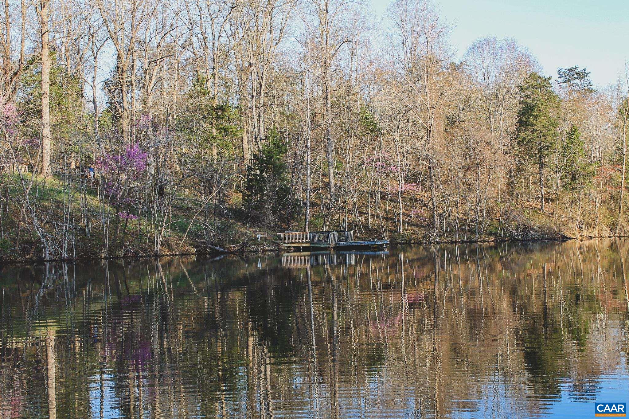 42 SHADWELL RD, KESWICK, Virginia 22947, ,Land,14,42 SHADWELL RD,675338 MLS # 675338 42 SHADWELL RD, KESWICK, Virginia 22947, ,Land,14,42 SHADWELL RD,675338 MLS # 675338