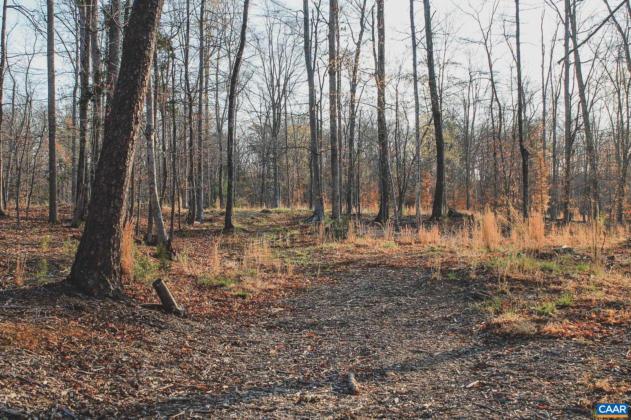 42 SHADWELL RD, KESWICK, Virginia 22947, ,Land,14,42 SHADWELL RD,675338 MLS # 675338 42 SHADWELL RD, KESWICK, Virginia 22947, ,Land,14,42 SHADWELL RD,675338 MLS # 675338